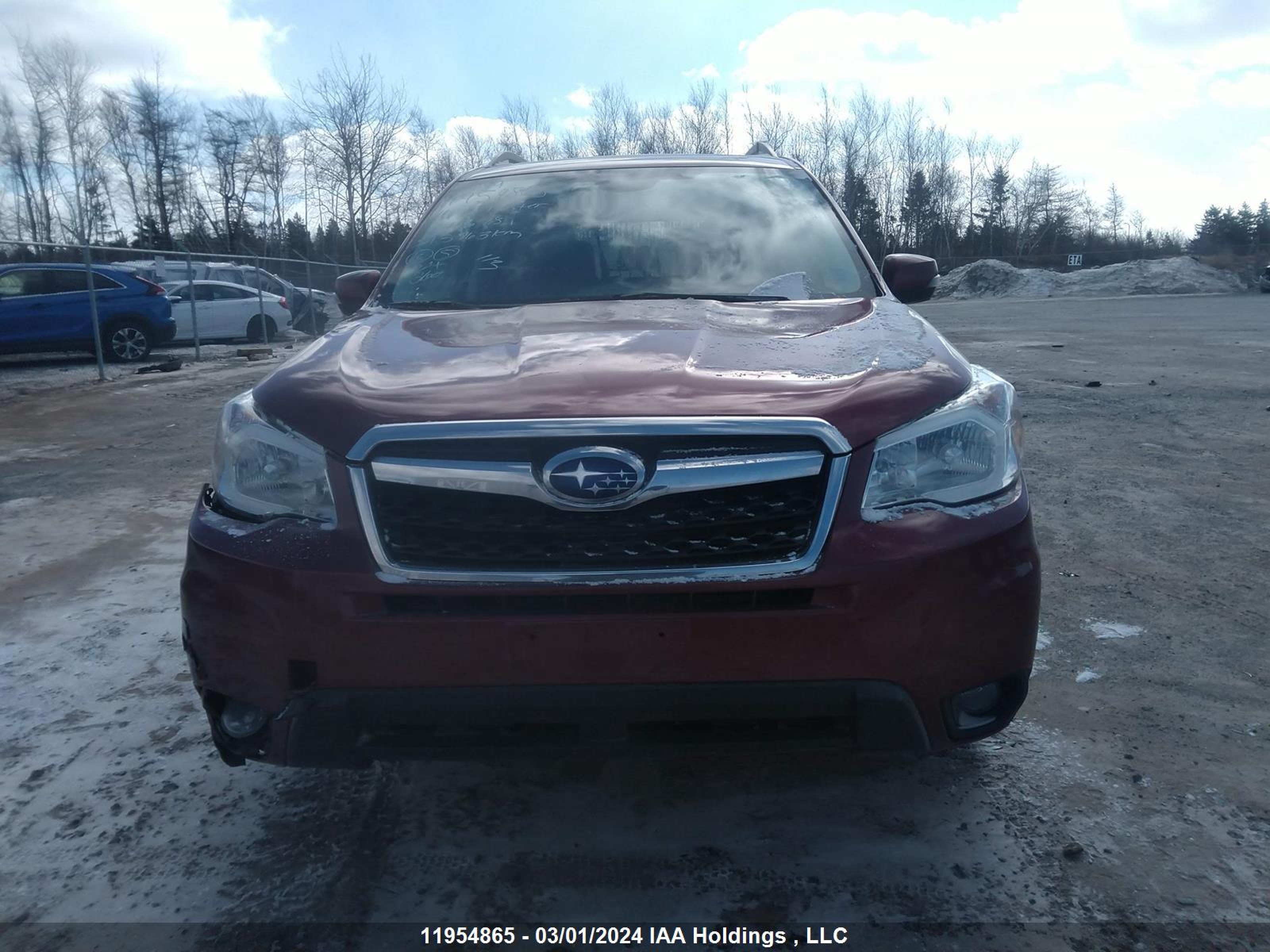 Photo 12 VIN: JF2SJCXC8GH466781 - SUBARU FORESTER 