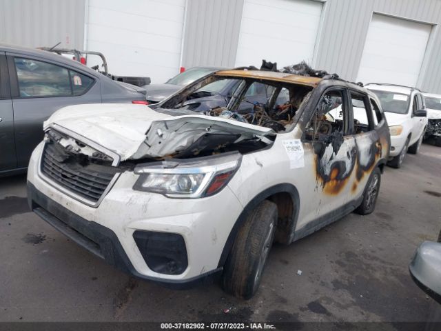 Photo 1 VIN: JF2SKACC1KH535388 - SUBARU FORESTER 