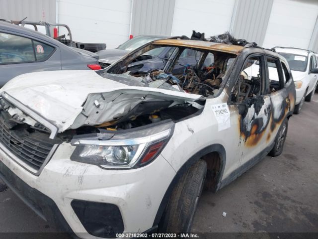 Photo 5 VIN: JF2SKACC1KH535388 - SUBARU FORESTER 