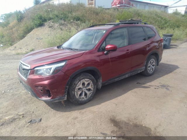 Photo 1 VIN: JF2SKAGC7LH505890 - SUBARU FORESTER 