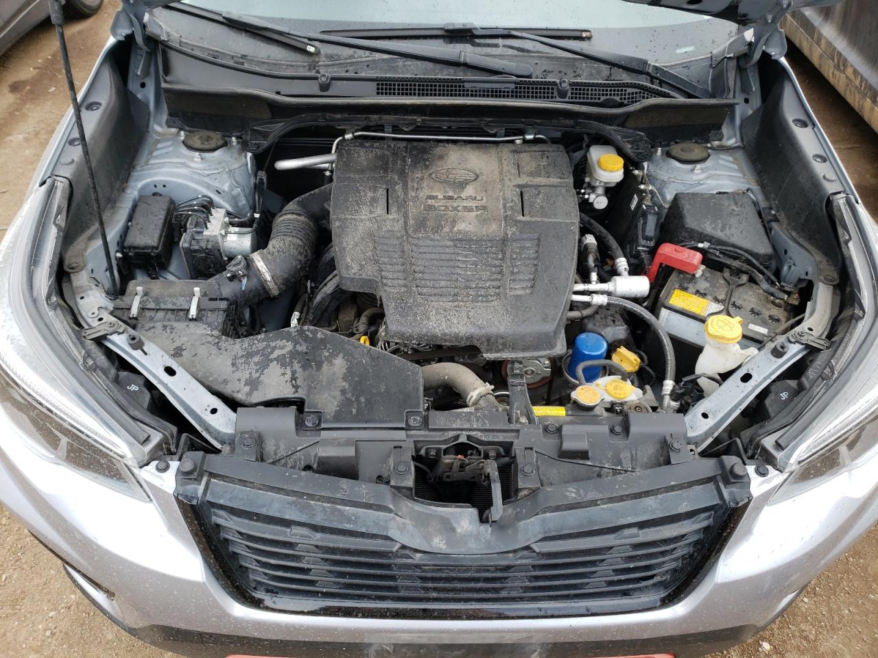 Photo 10 VIN: JF2SKARC2MH557278 - SUBARU FORESTER 