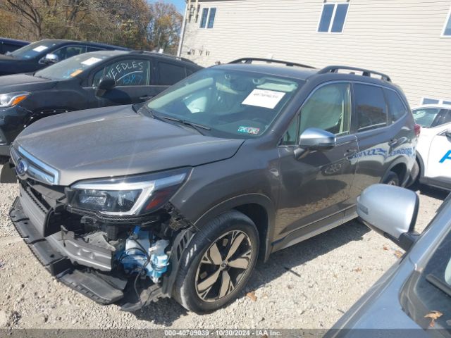 Photo 1 VIN: JF2SKAXC8MH553870 - SUBARU FORESTER 