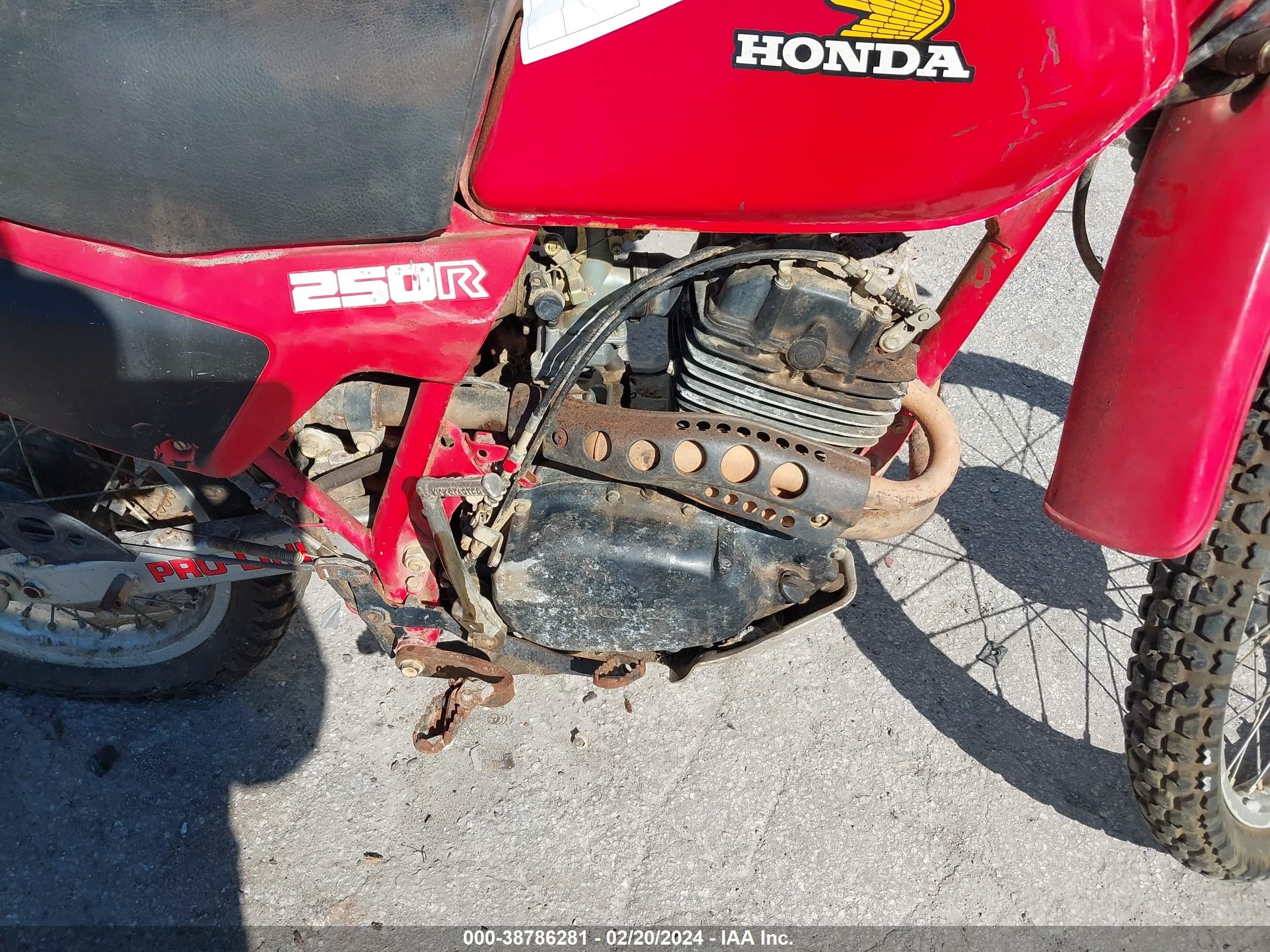 Photo 7 VIN: JH2MD0304DM101081 - HONDA ALL 