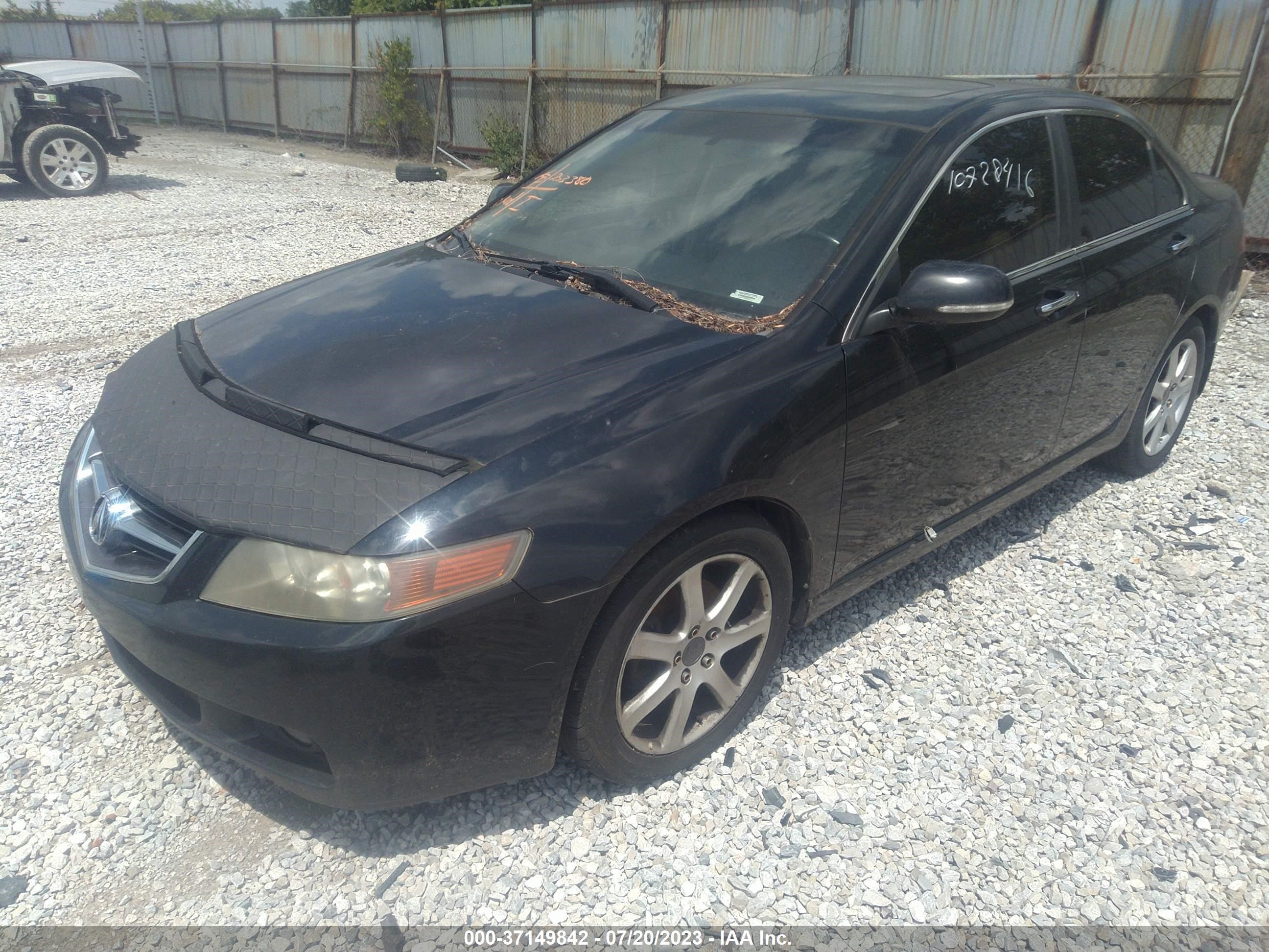 Photo 5 VIN: JH4CL95805C013746 - ACURA TSX 