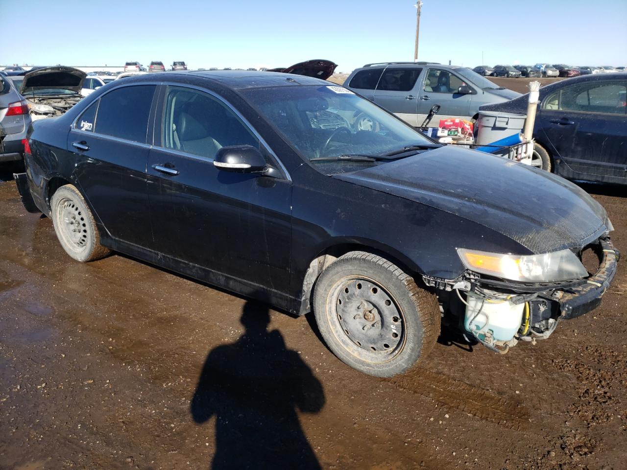 Photo 3 VIN: JH4CL95818C800872 - ACURA TSX 