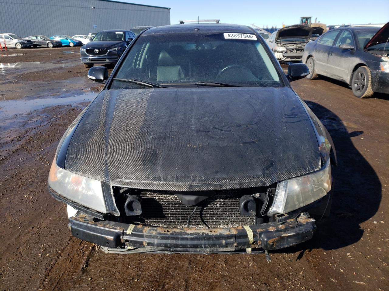 Photo 4 VIN: JH4CL95818C800872 - ACURA TSX 