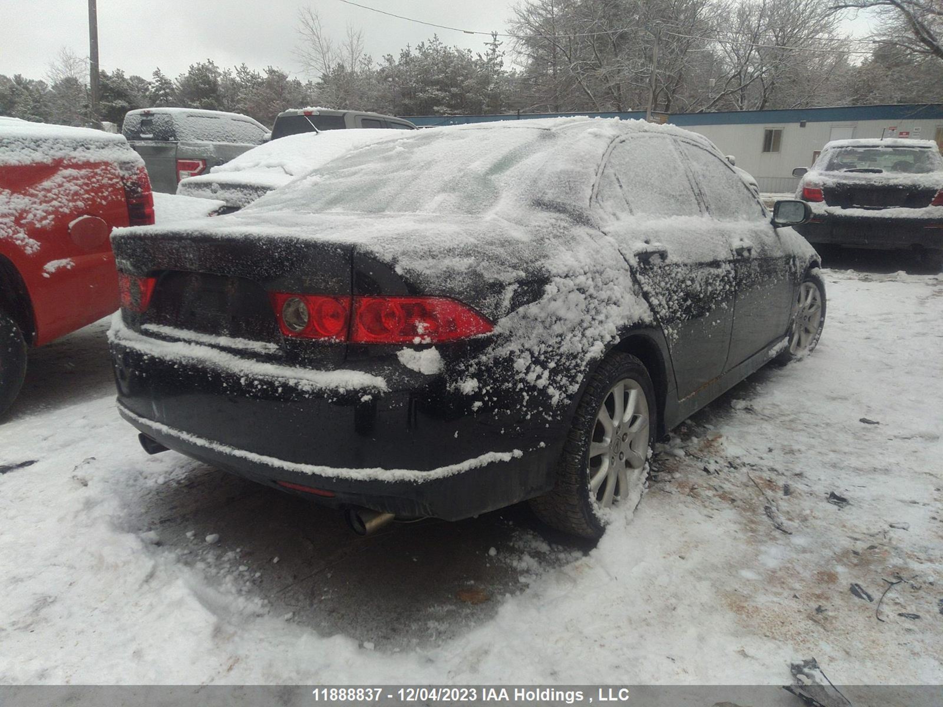 Photo 3 VIN: JH4CL95868C801323 - ACURA TSX 