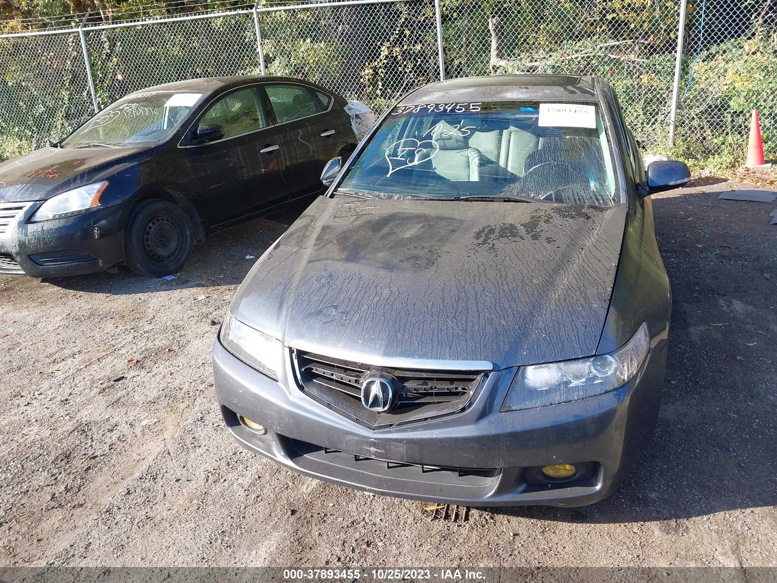 Photo 11 VIN: JH4CL95885C015552 - ACURA TSX 