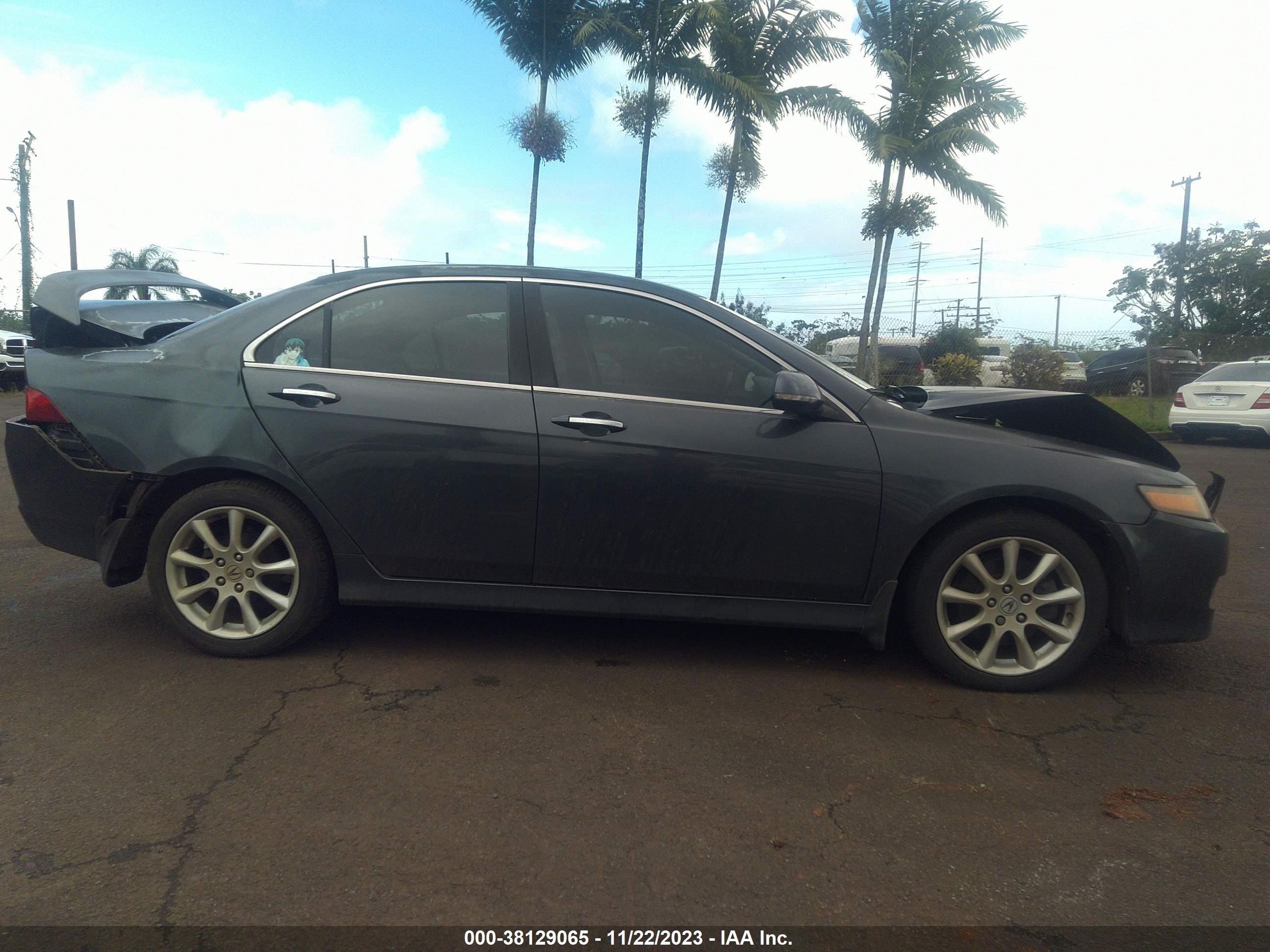 Photo 13 VIN: JH4CL96806C009194 - ACURA TSX 