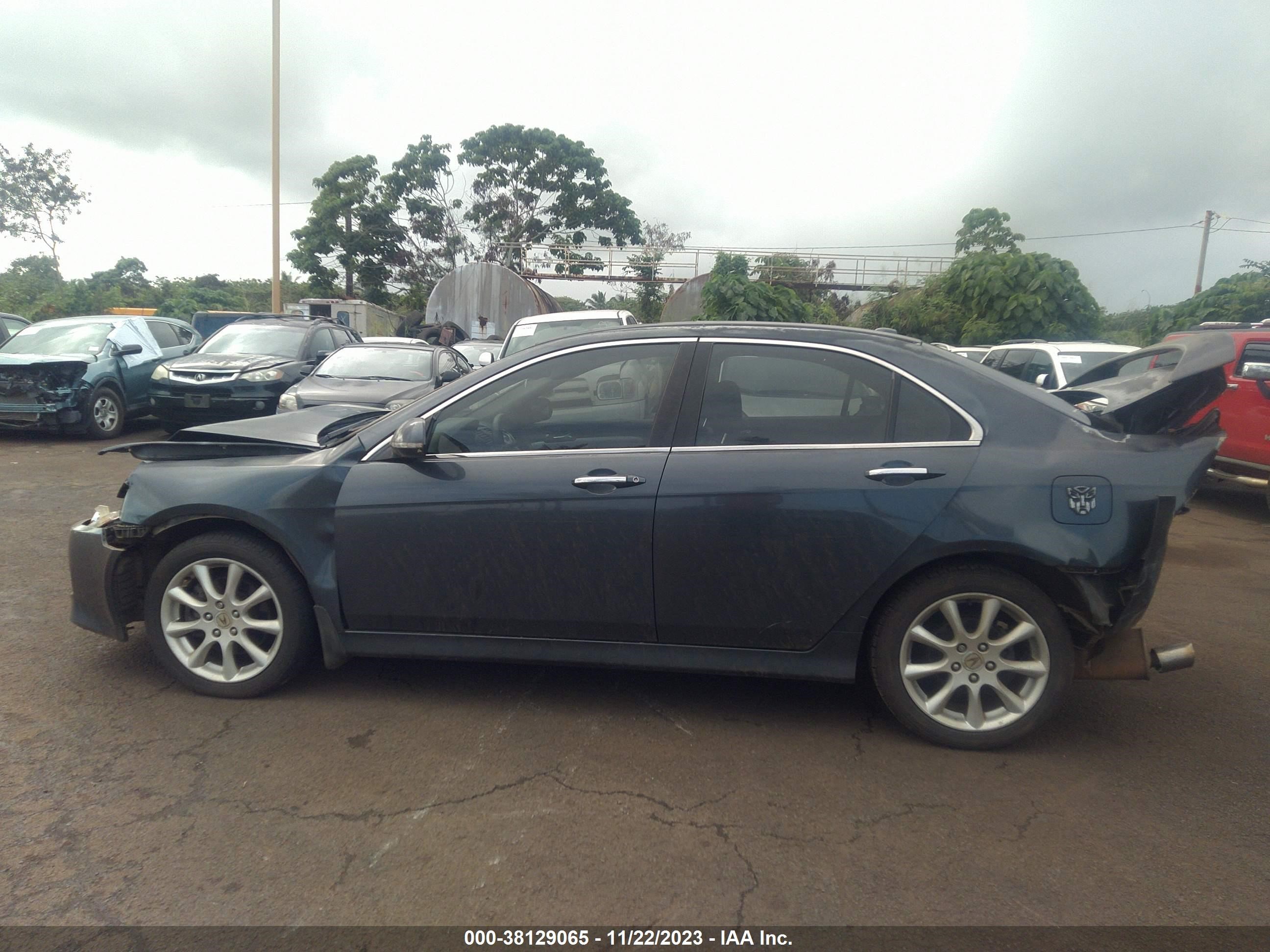 Photo 14 VIN: JH4CL96806C009194 - ACURA TSX 