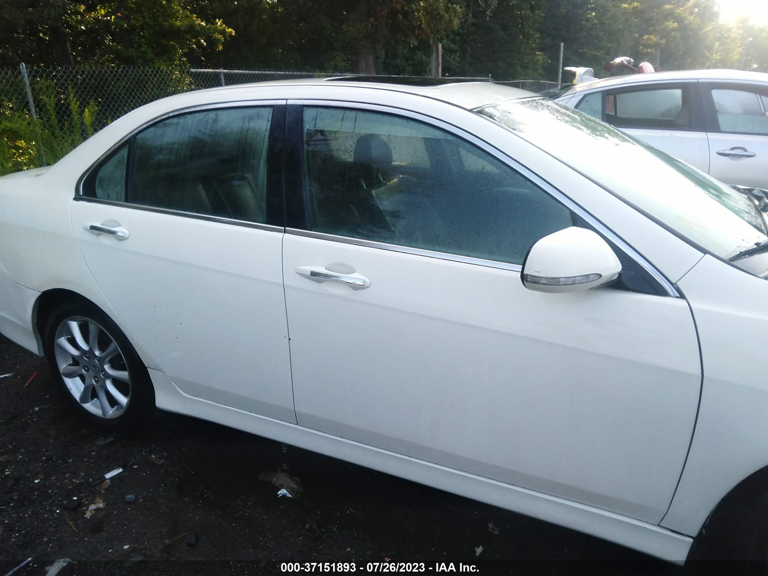 Photo 12 VIN: JH4CL96807C015661 - ACURA TSX 