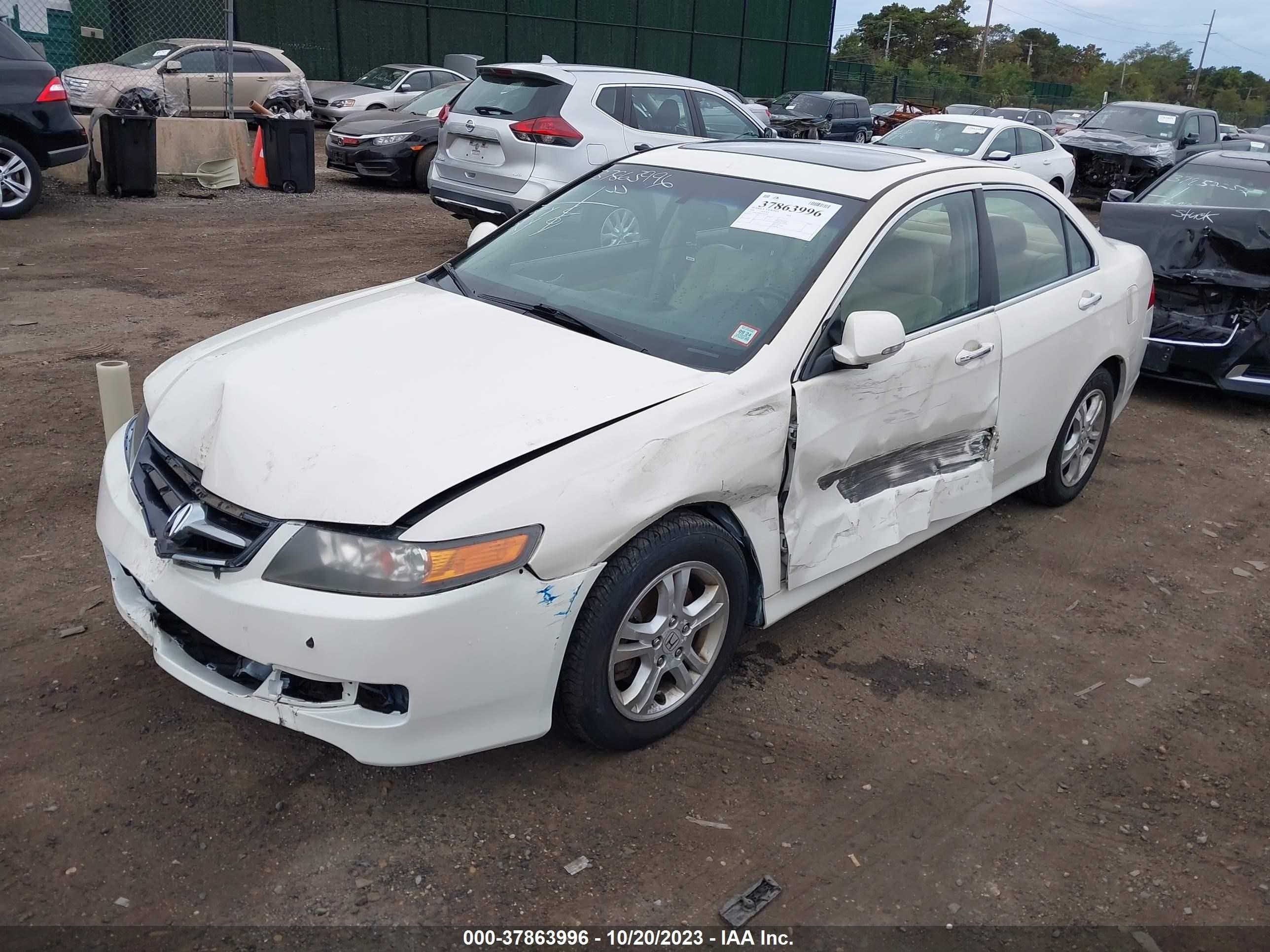 Photo 1 VIN: JH4CL96808C001339 - ACURA TSX 