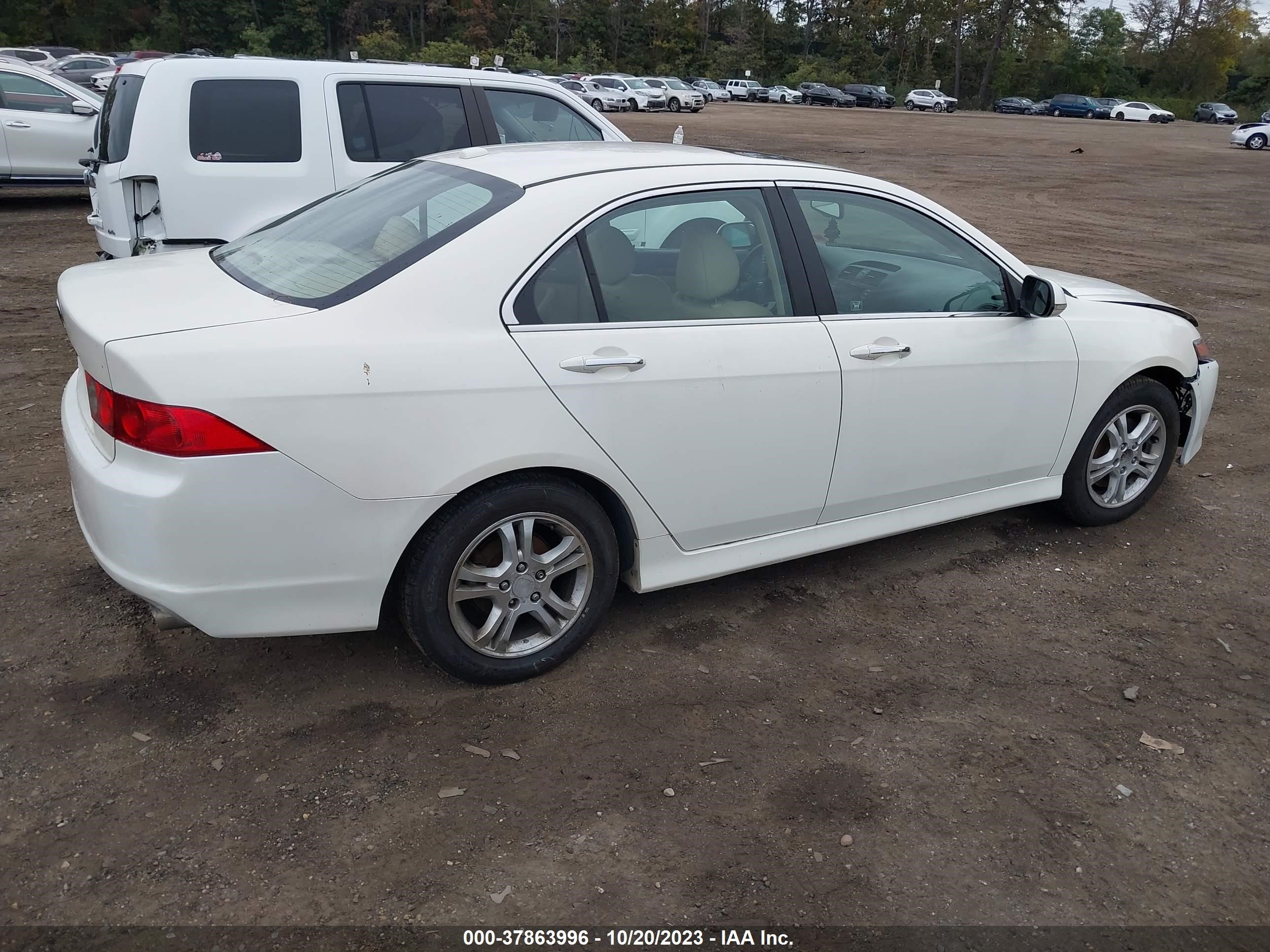 Photo 3 VIN: JH4CL96808C001339 - ACURA TSX 