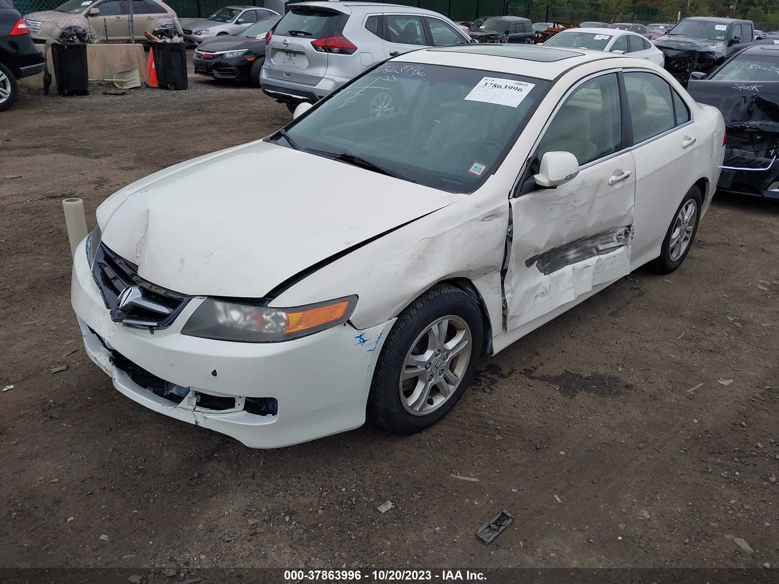 Photo 5 VIN: JH4CL96808C001339 - ACURA TSX 