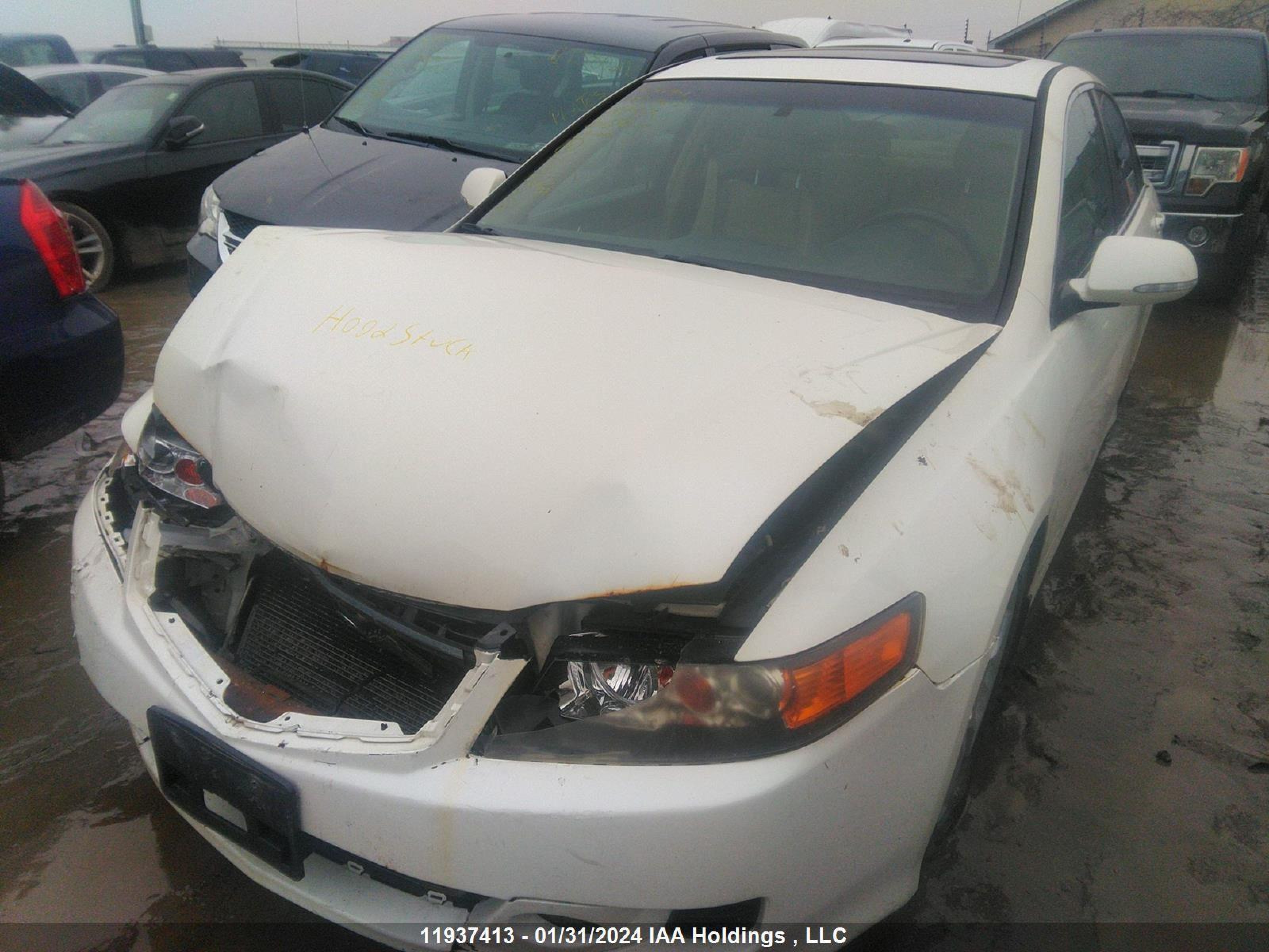 Photo 1 VIN: JH4CL96808C801591 - ACURA TSX 