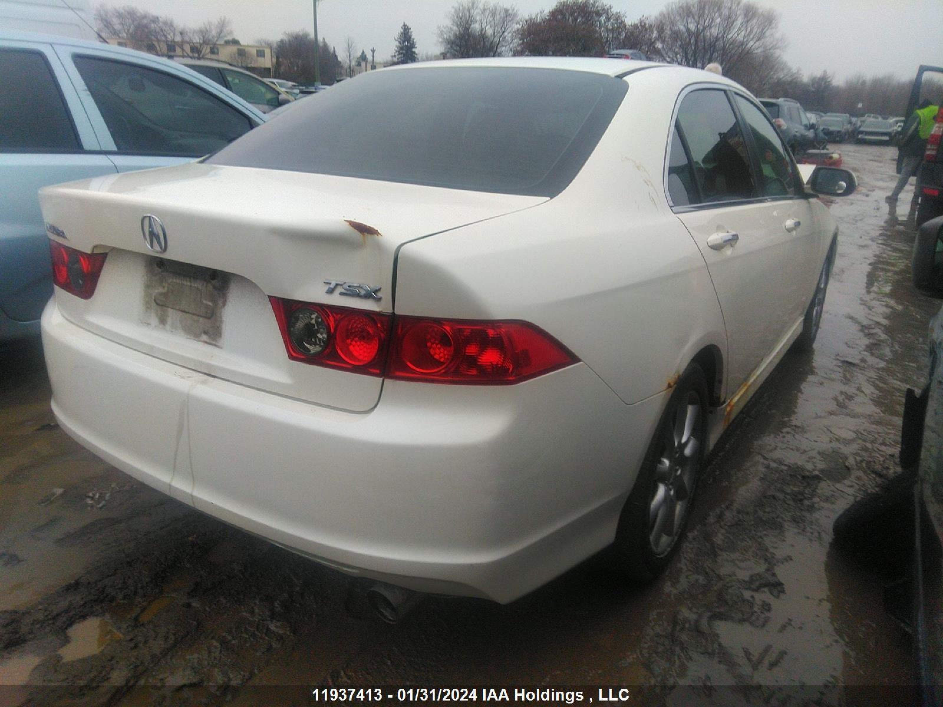 Photo 3 VIN: JH4CL96808C801591 - ACURA TSX 