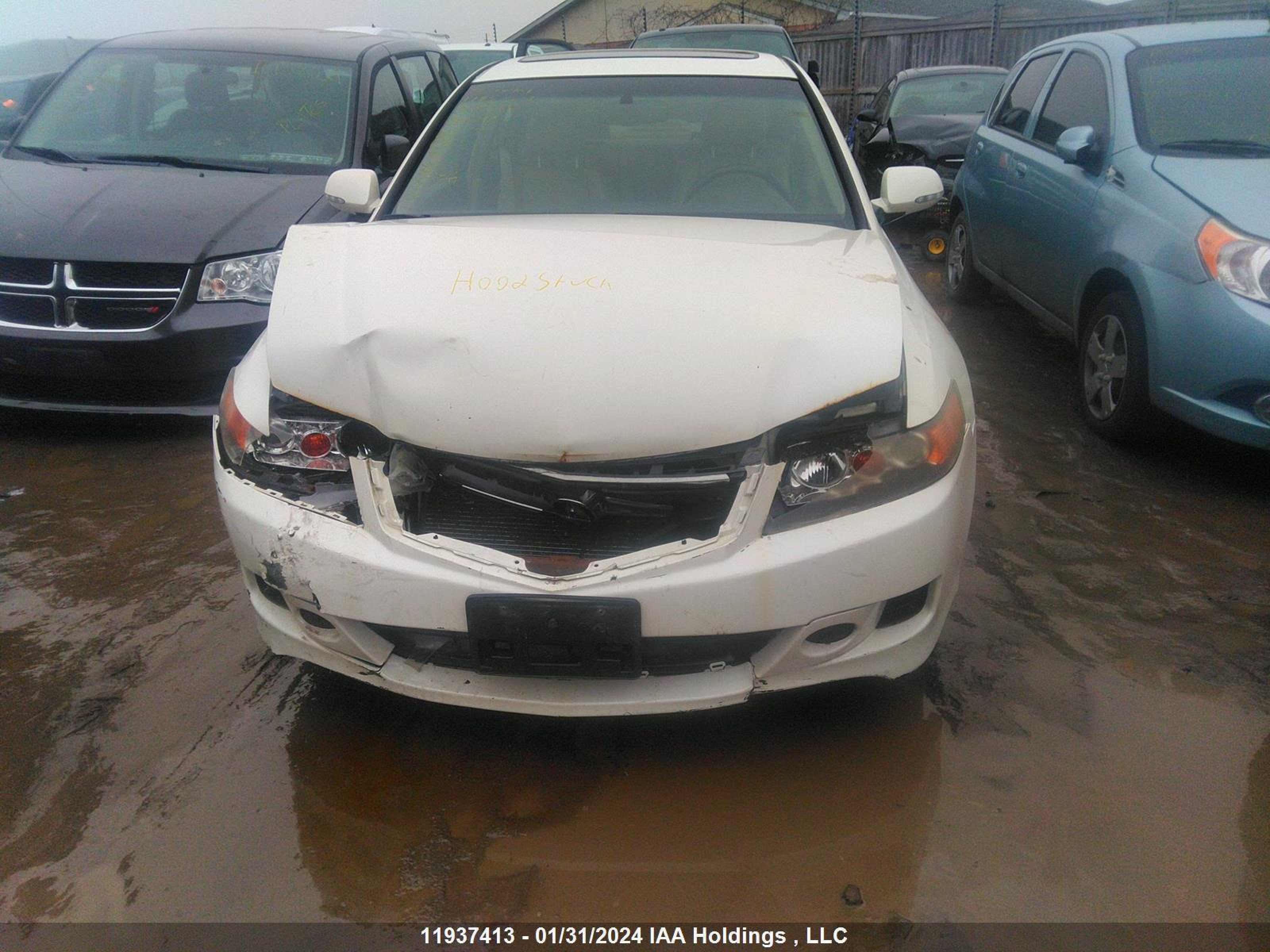 Photo 5 VIN: JH4CL96808C801591 - ACURA TSX 