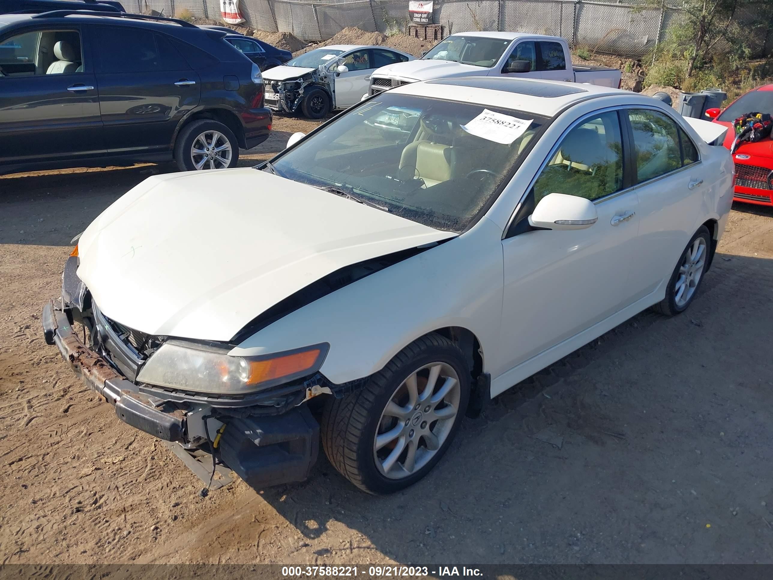 Photo 1 VIN: JH4CL96816C033942 - ACURA TSX 