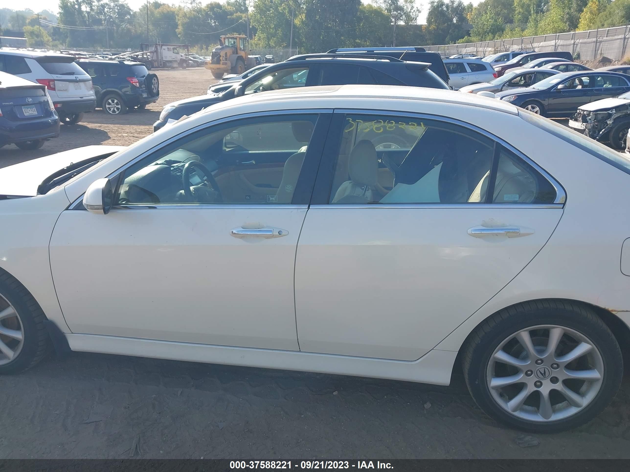 Photo 13 VIN: JH4CL96816C033942 - ACURA TSX 