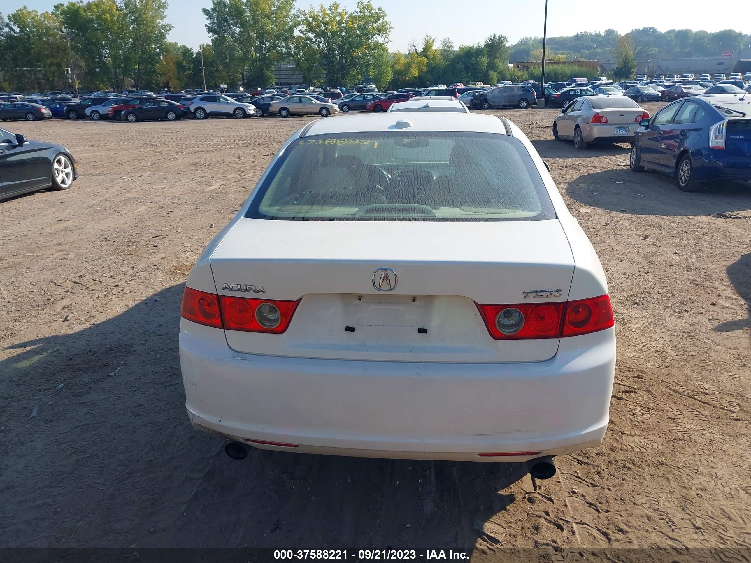 Photo 15 VIN: JH4CL96816C033942 - ACURA TSX 