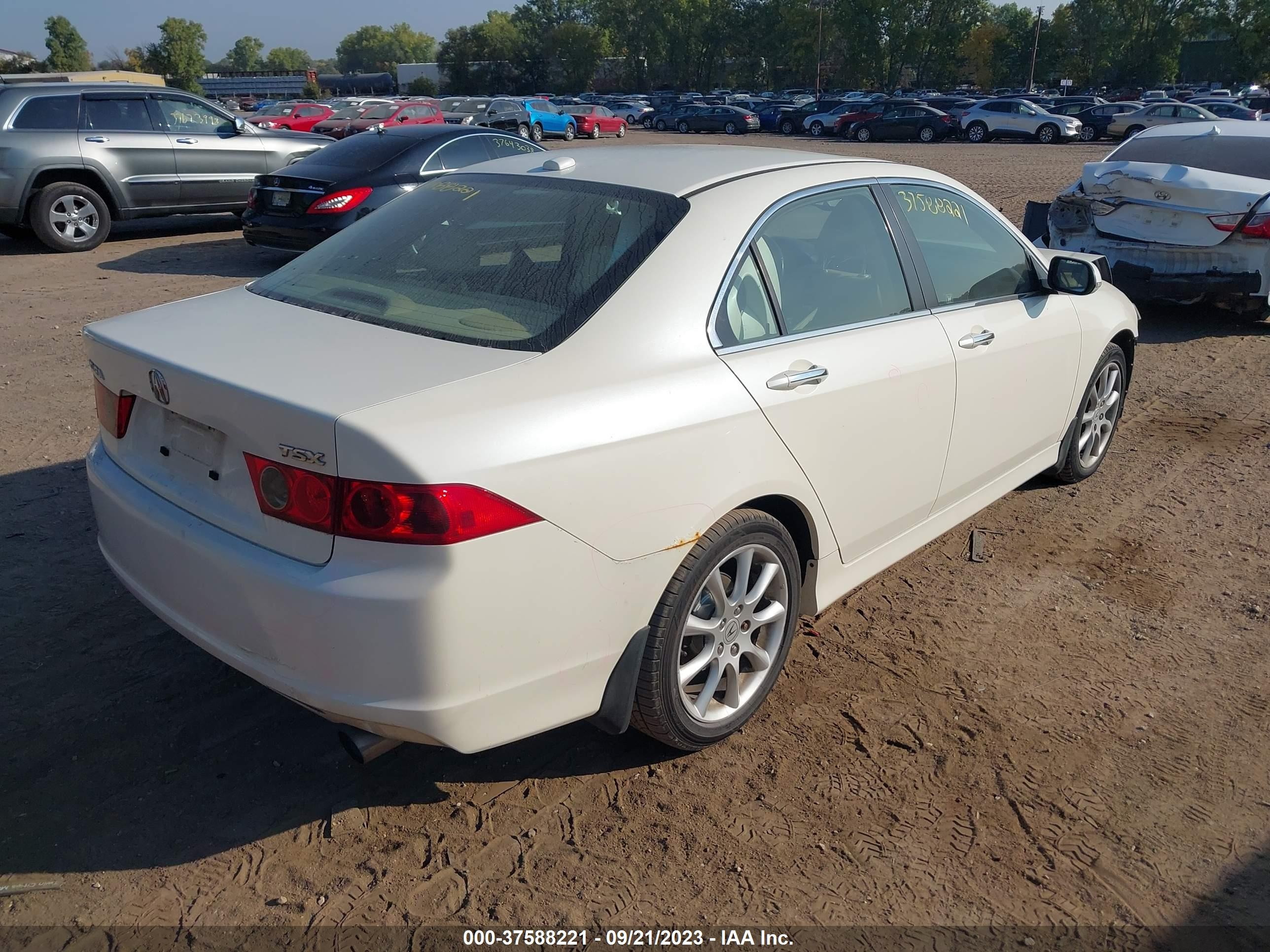 Photo 3 VIN: JH4CL96816C033942 - ACURA TSX 