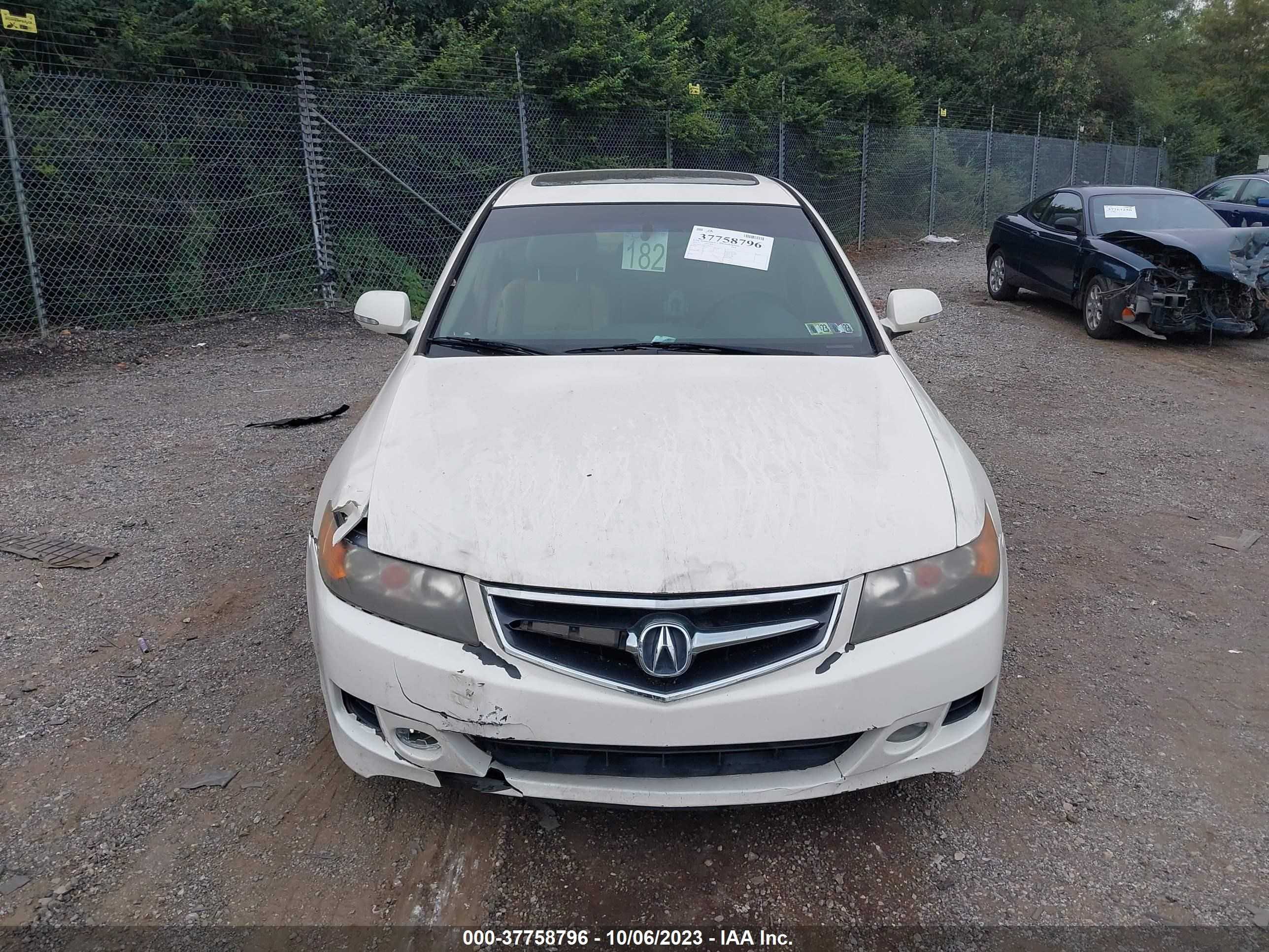 Photo 11 VIN: JH4CL96817C016351 - ACURA TSX 