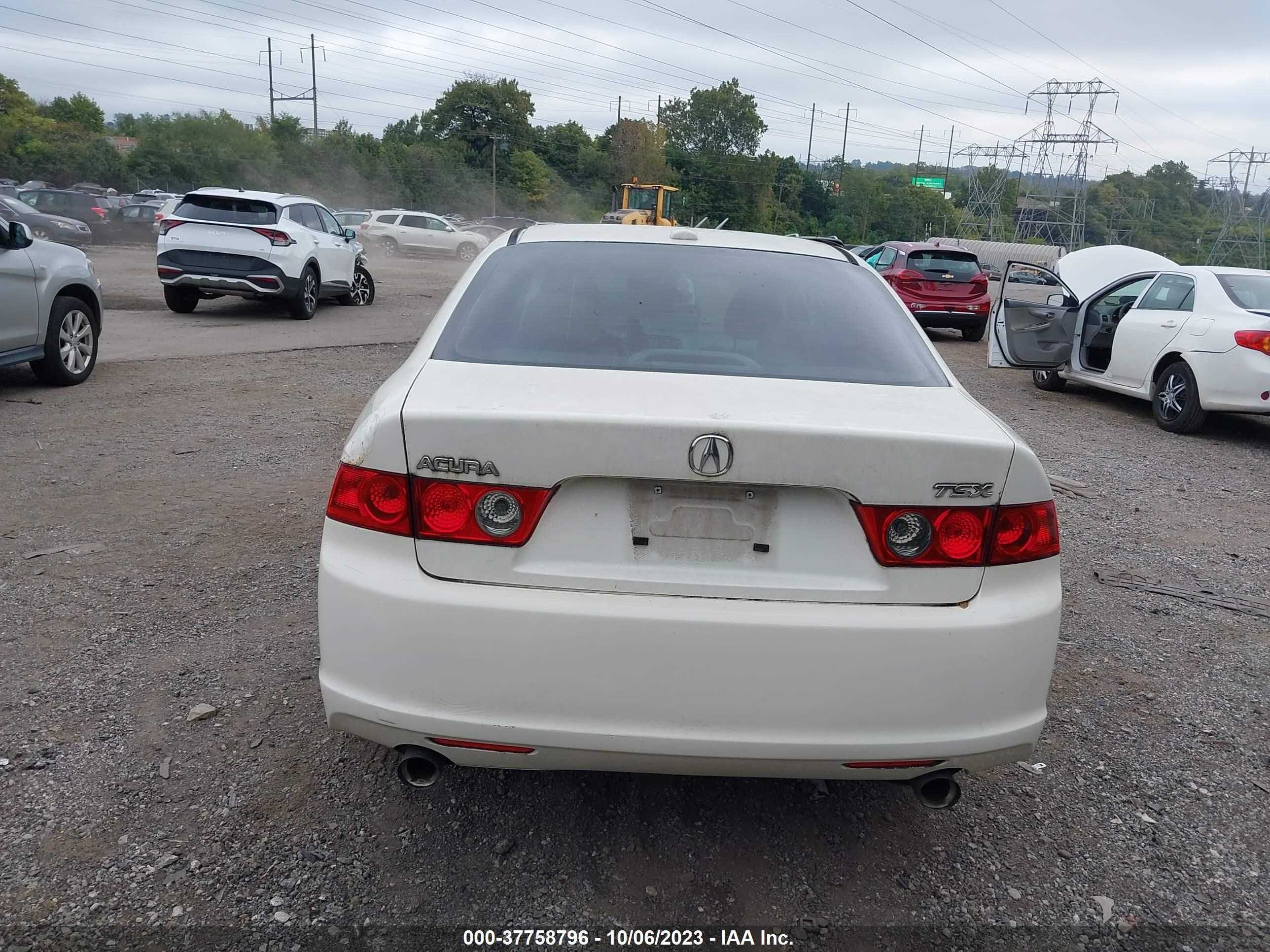 Photo 15 VIN: JH4CL96817C016351 - ACURA TSX 