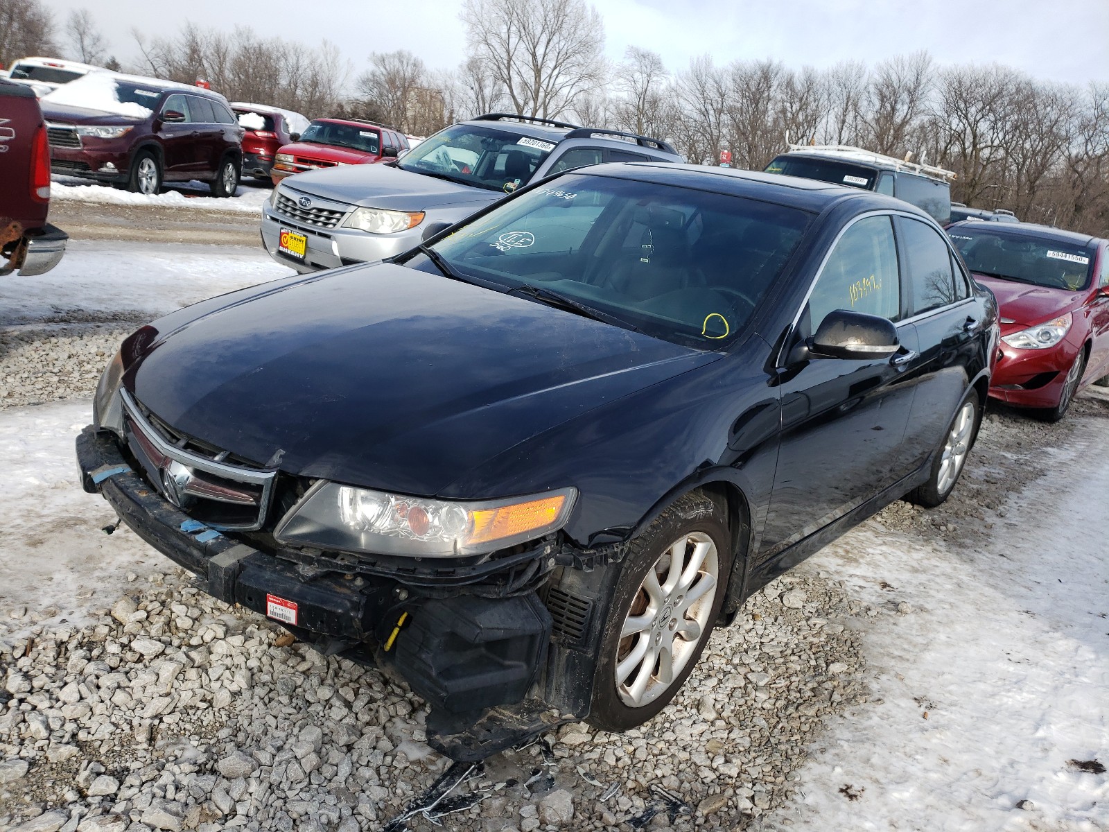 Photo 1 VIN: JH4CL96818C010602 - ACURA TSX 