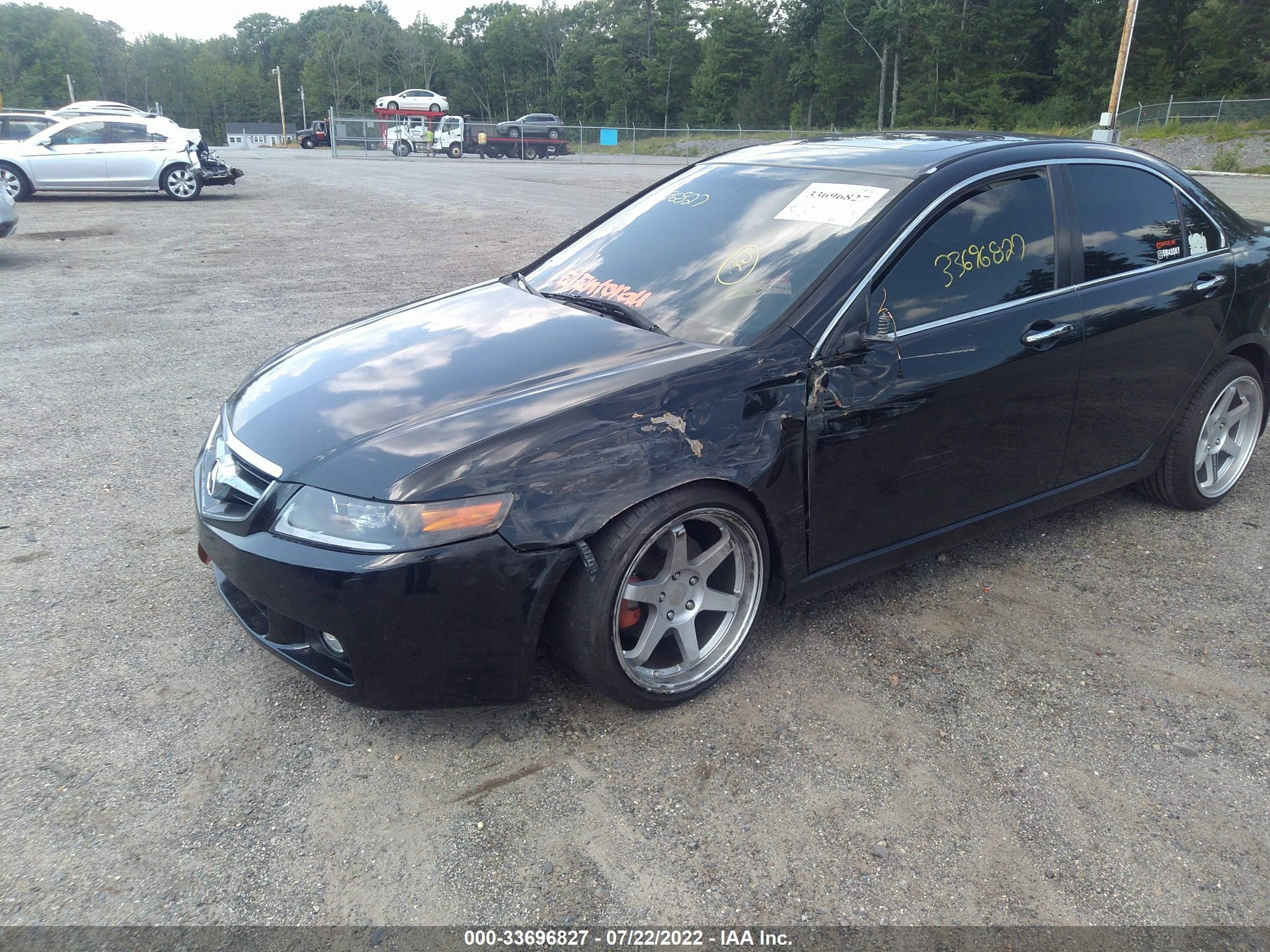 Photo 5 VIN: JH4CL96824C015981 - ACURA TSX 