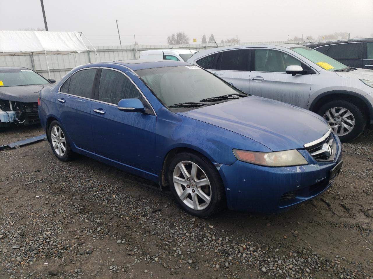 Photo 3 VIN: JH4CL96824C022302 - ACURA TSX 