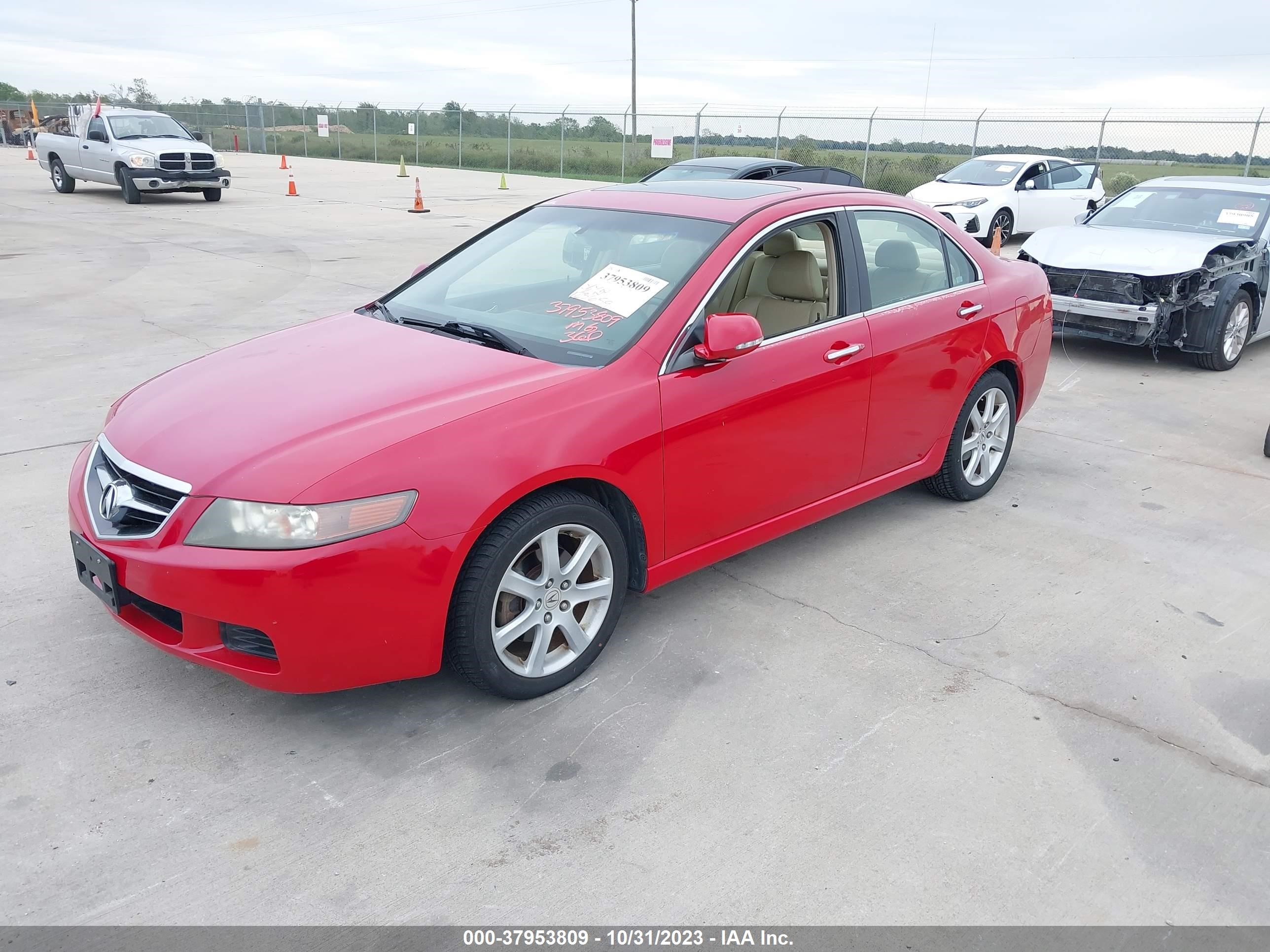 Photo 1 VIN: JH4CL96824C038242 - ACURA TSX 