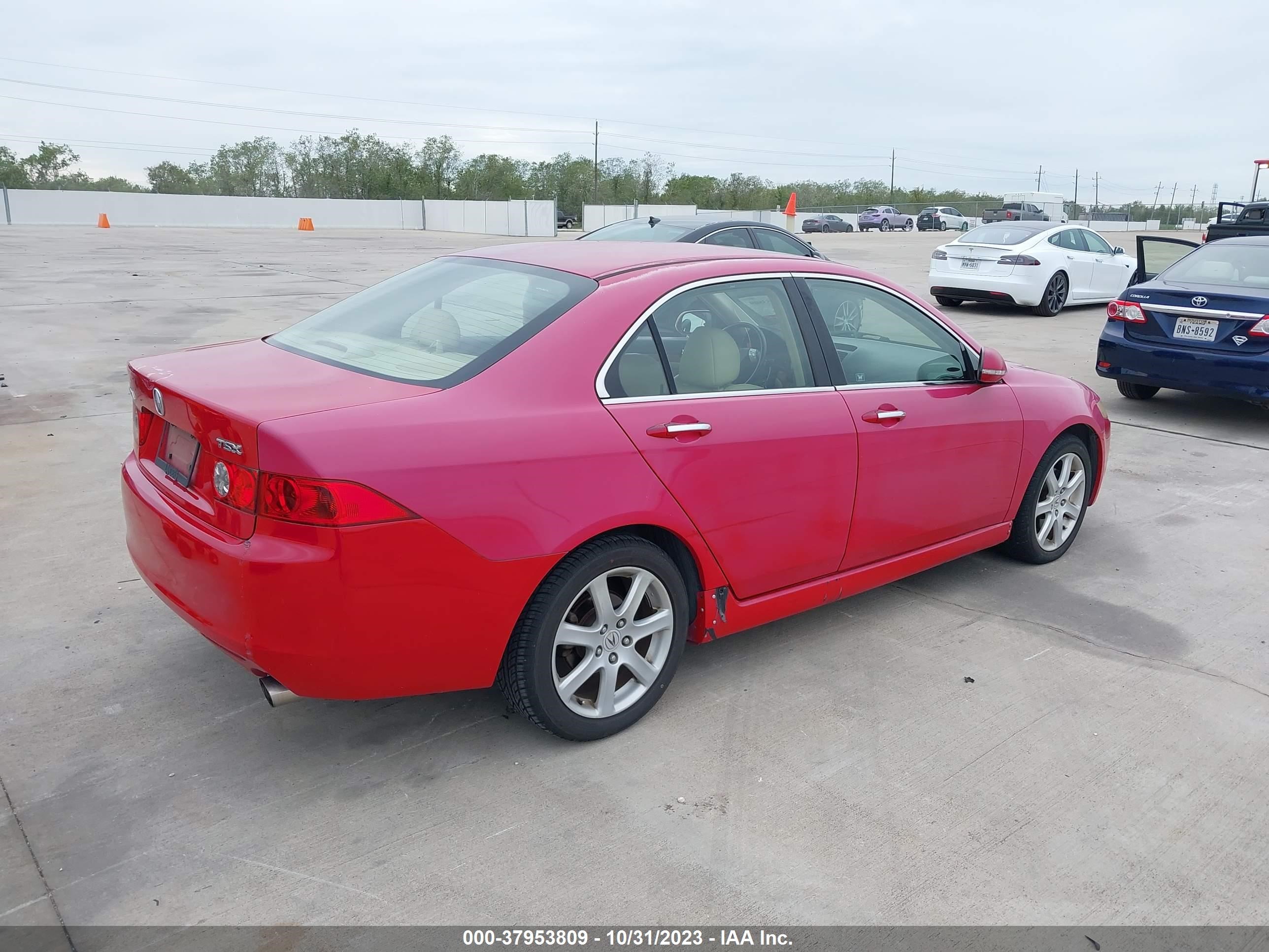 Photo 3 VIN: JH4CL96824C038242 - ACURA TSX 