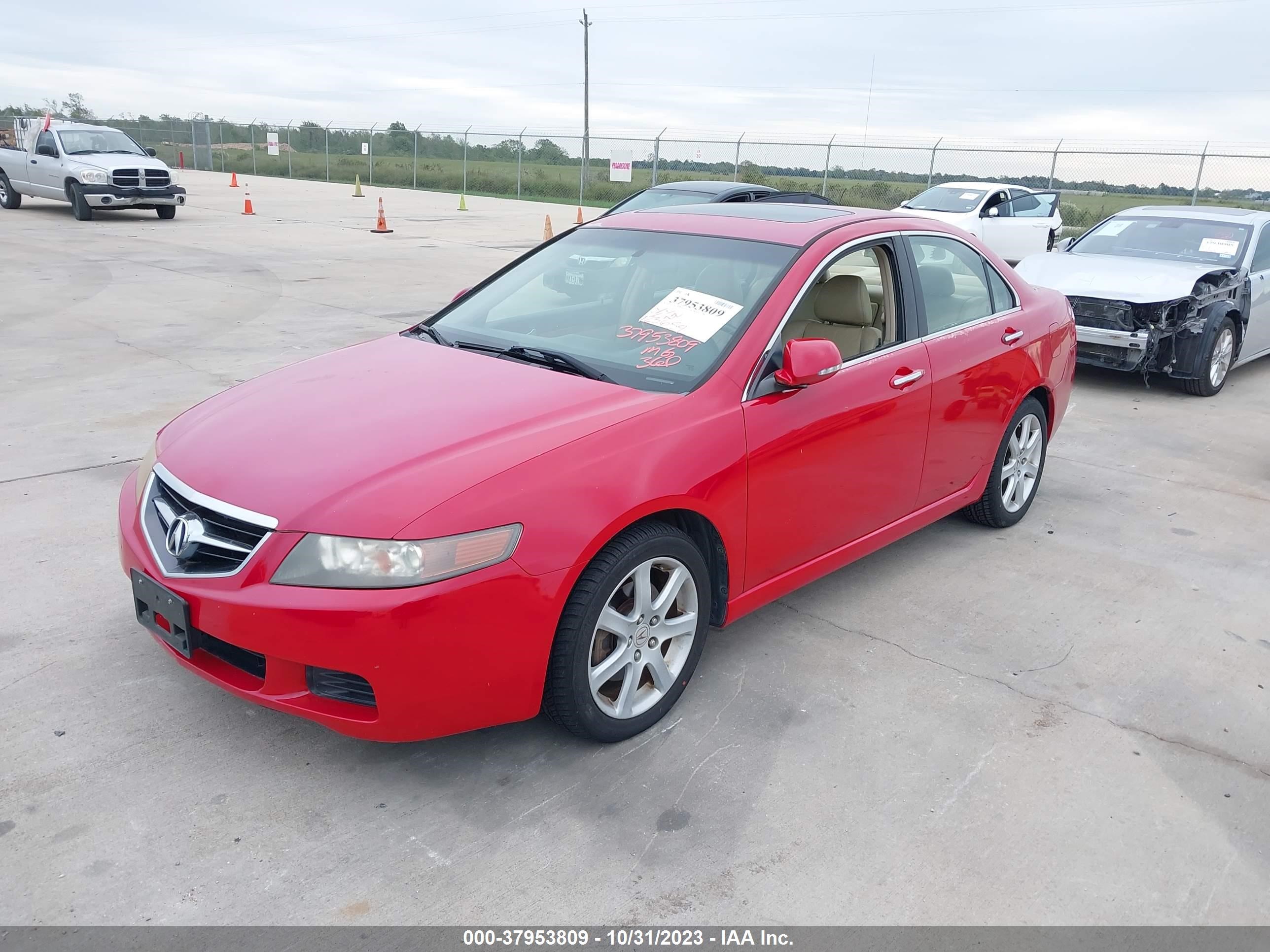 Photo 5 VIN: JH4CL96824C038242 - ACURA TSX 