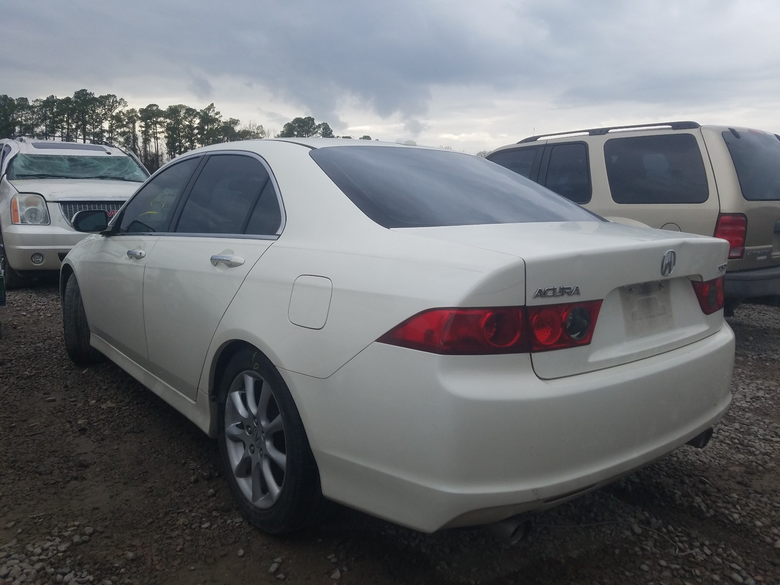 Photo 2 VIN: JH4CL96826C036395 - ACURA TSX 