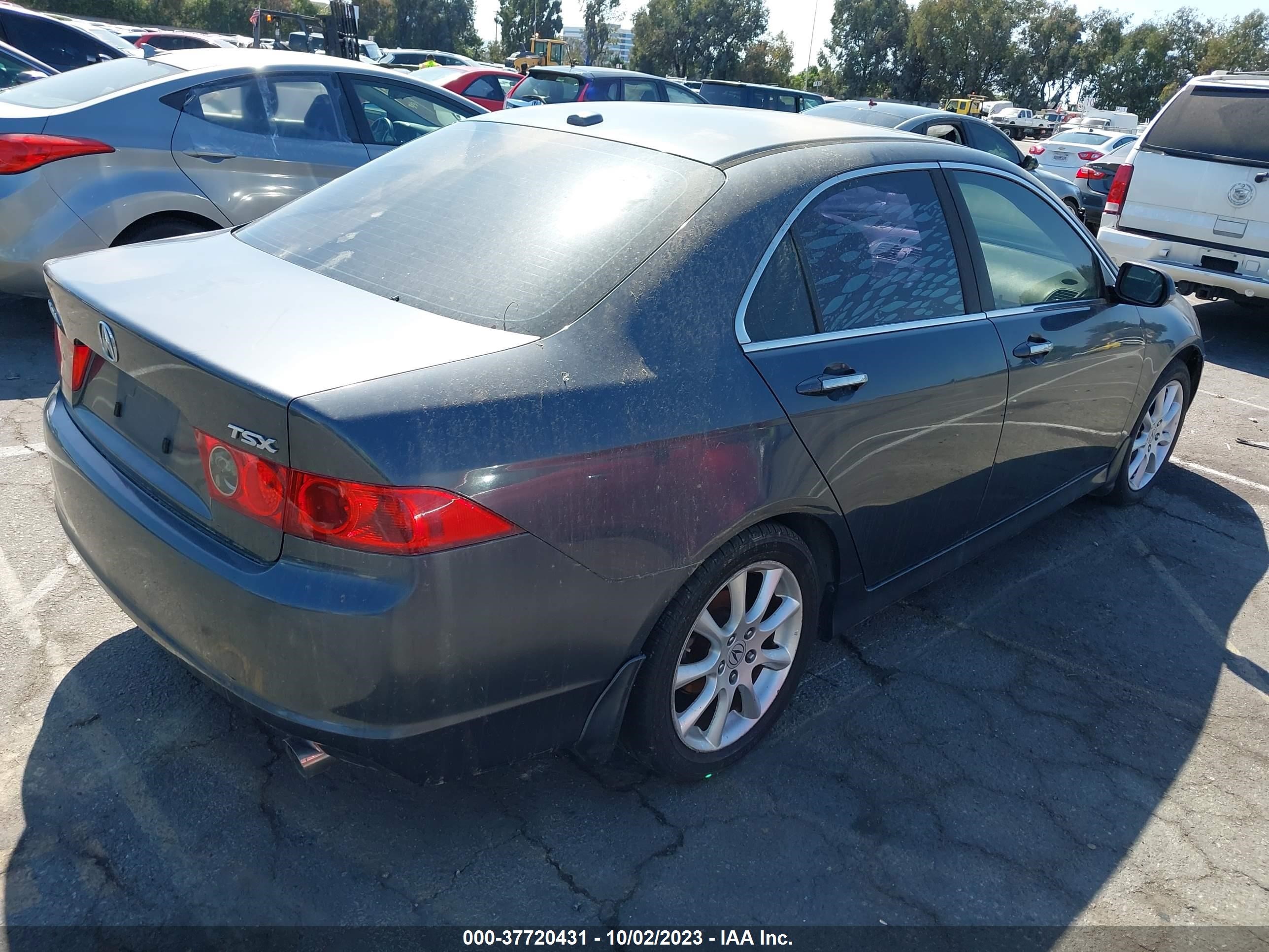 Photo 3 VIN: JH4CL96828C007188 - ACURA TSX 