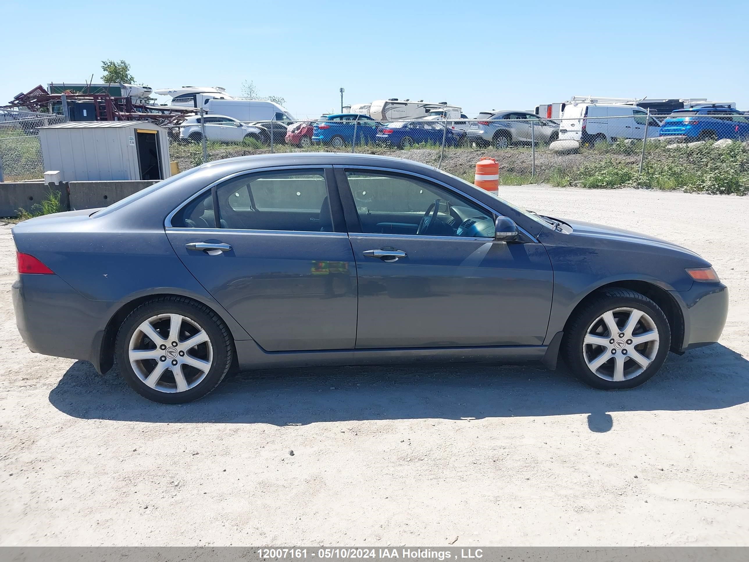 Photo 12 VIN: JH4CL96835C801242 - ACURA TSX 