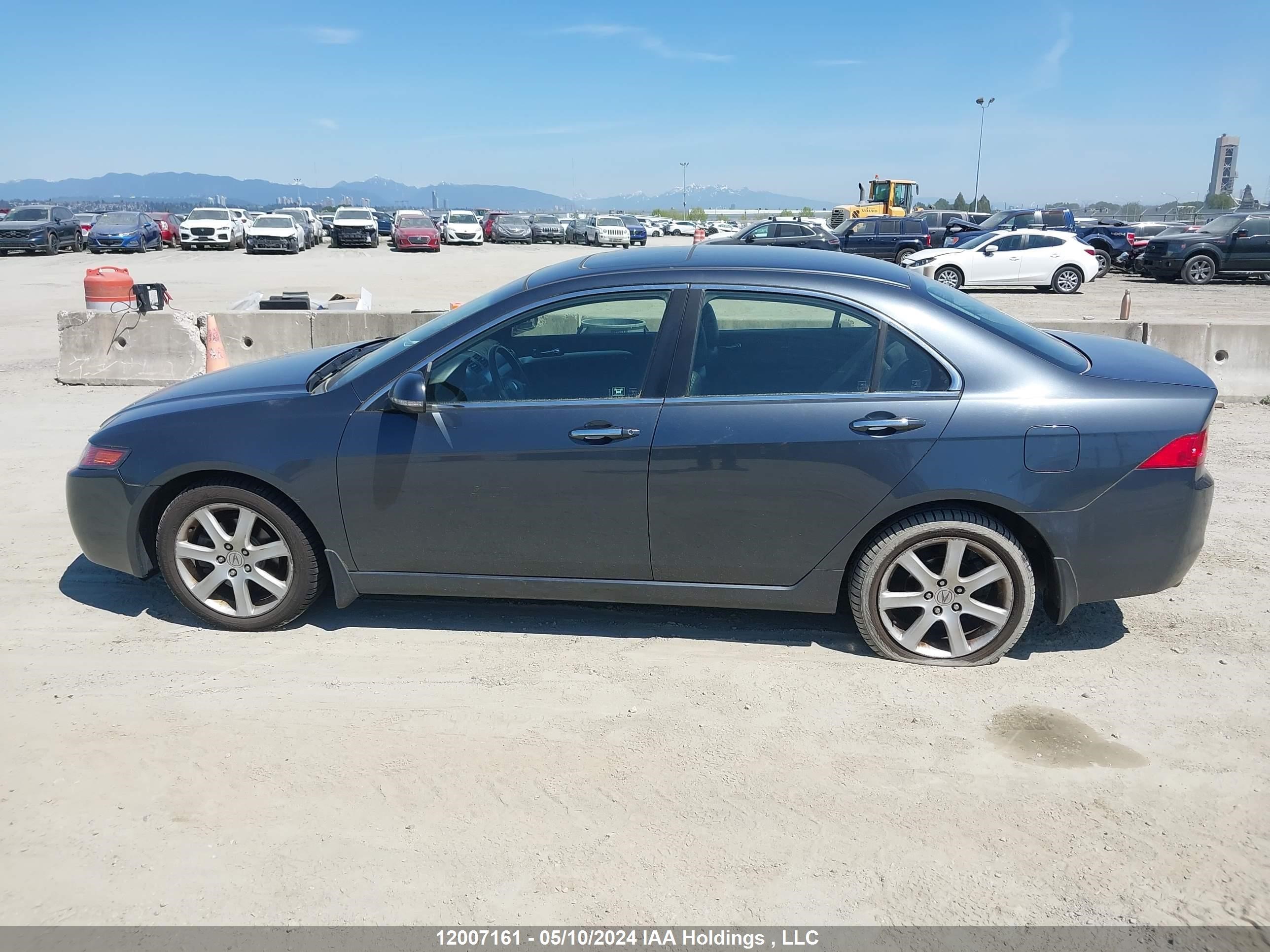 Photo 13 VIN: JH4CL96835C801242 - ACURA TSX 