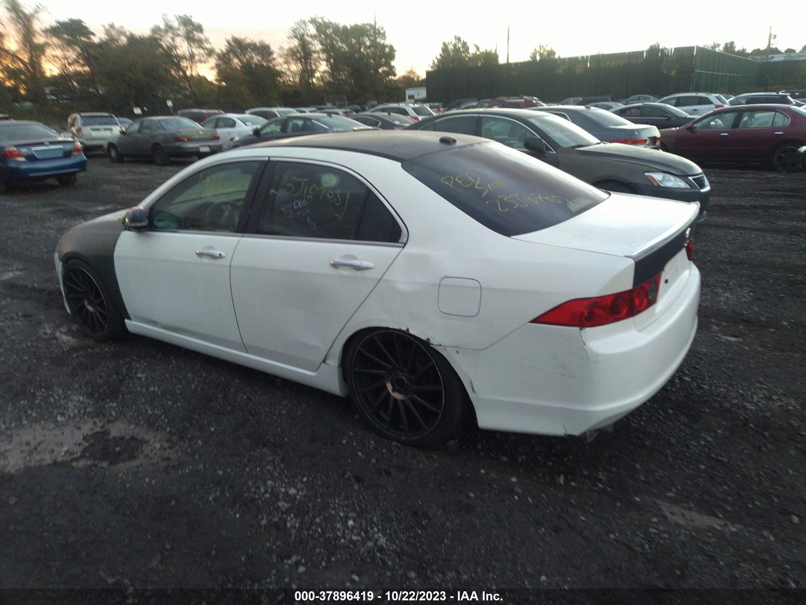 Photo 2 VIN: JH4CL96836C032212 - ACURA TSX 