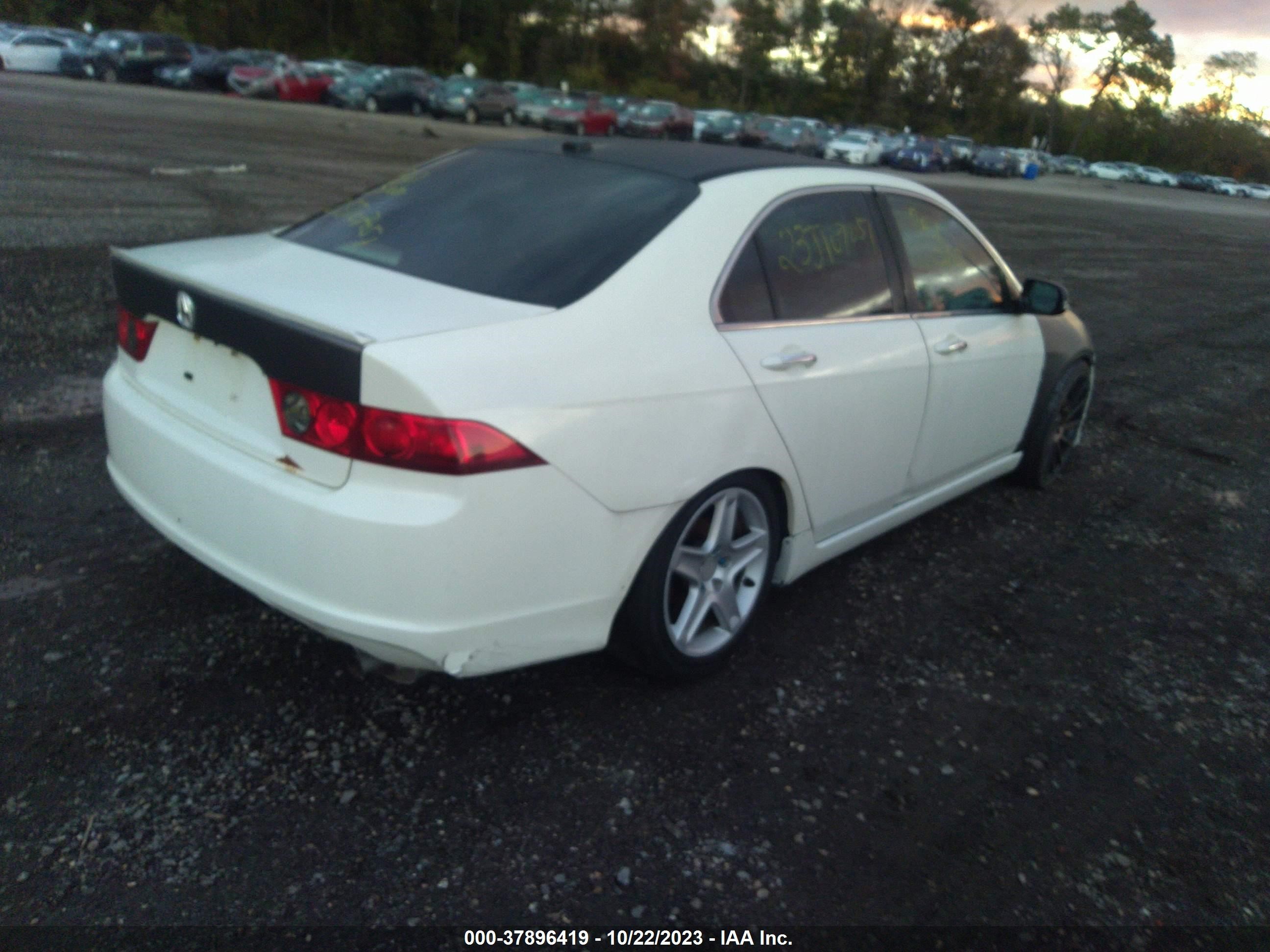 Photo 3 VIN: JH4CL96836C032212 - ACURA TSX 