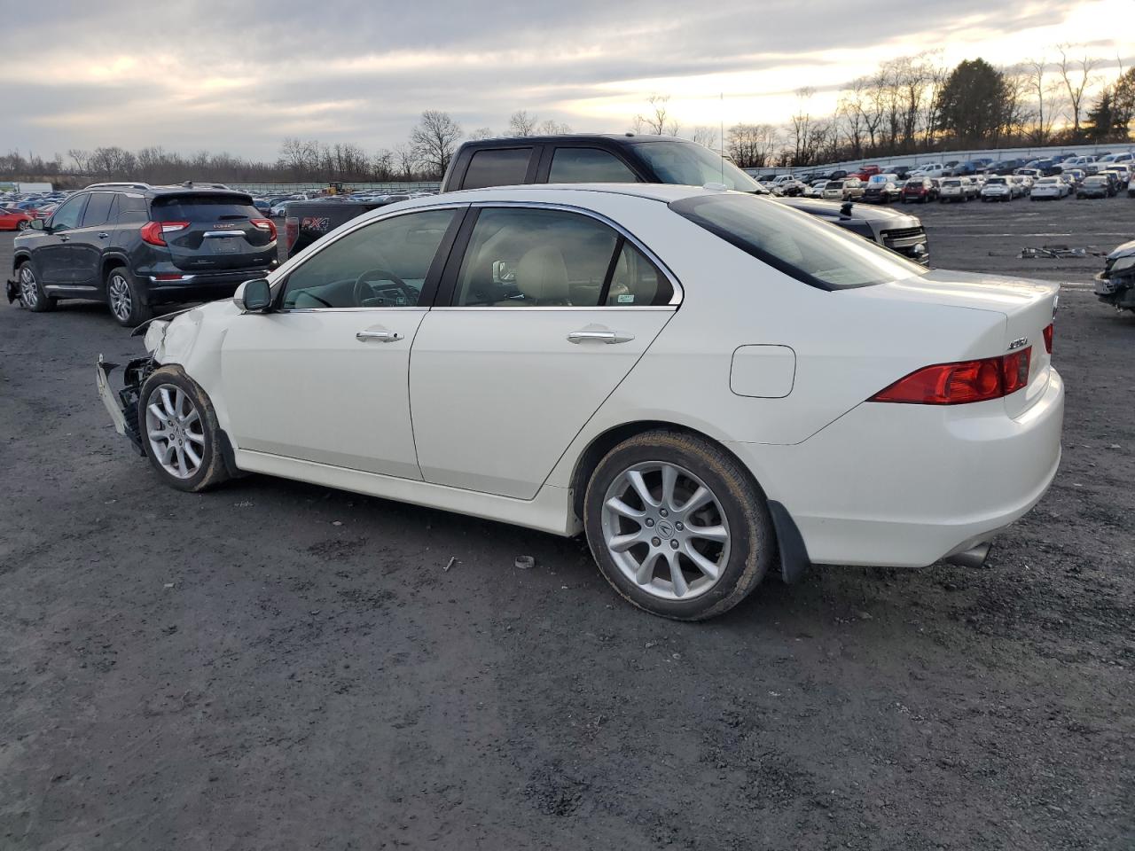 Photo 1 VIN: JH4CL96838C001318 - ACURA TSX 