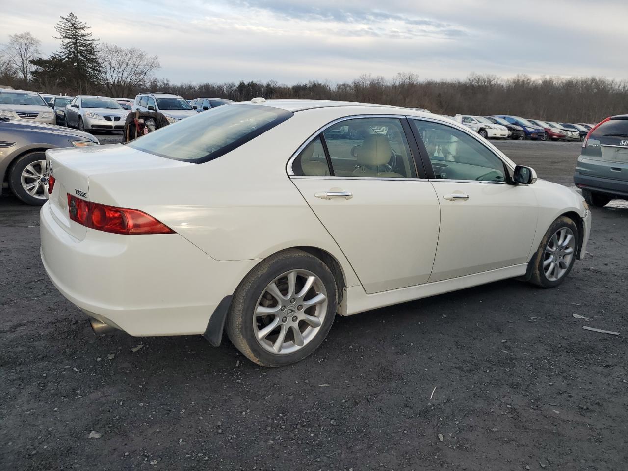 Photo 2 VIN: JH4CL96838C001318 - ACURA TSX 