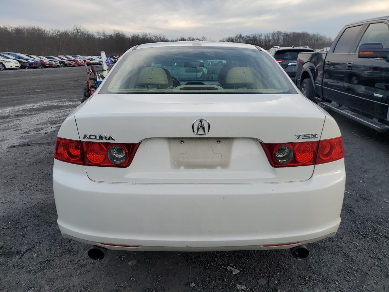 Photo 5 VIN: JH4CL96838C001318 - ACURA TSX 