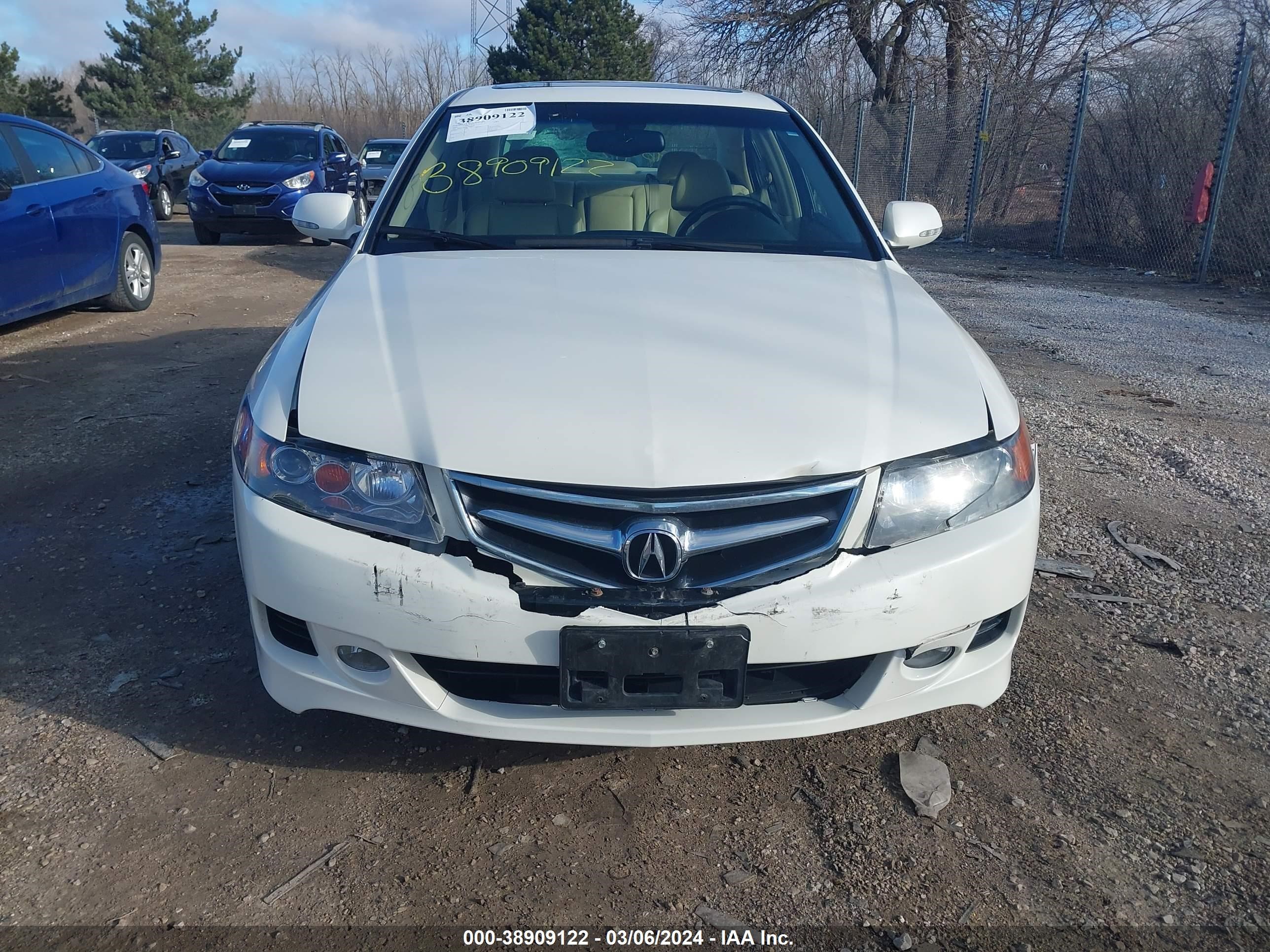 Photo 11 VIN: JH4CL96846C029139 - ACURA TSX 