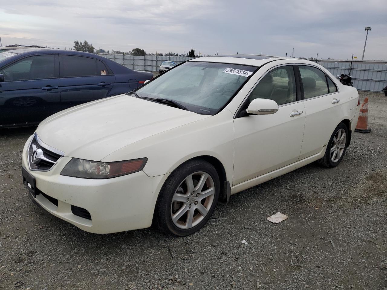 Photo 0 VIN: JH4CL96855C029584 - ACURA TSX 