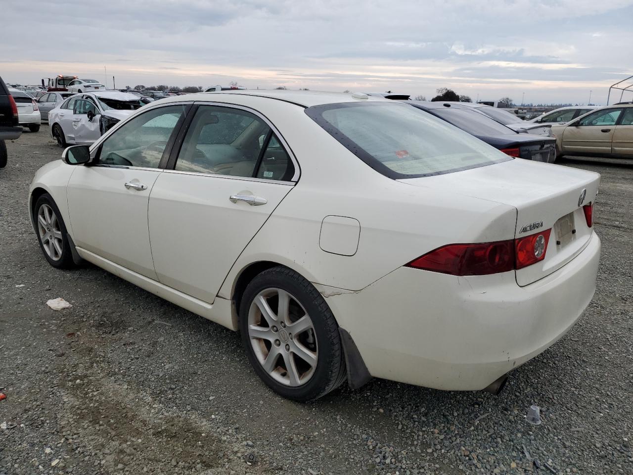 Photo 1 VIN: JH4CL96855C029584 - ACURA TSX 