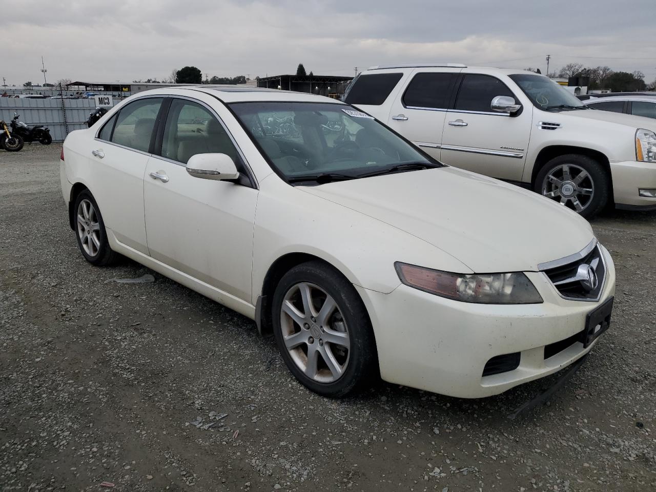 Photo 3 VIN: JH4CL96855C029584 - ACURA TSX 