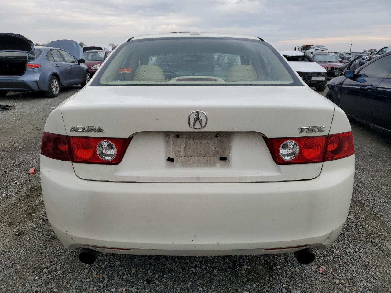 Photo 5 VIN: JH4CL96855C029584 - ACURA TSX 