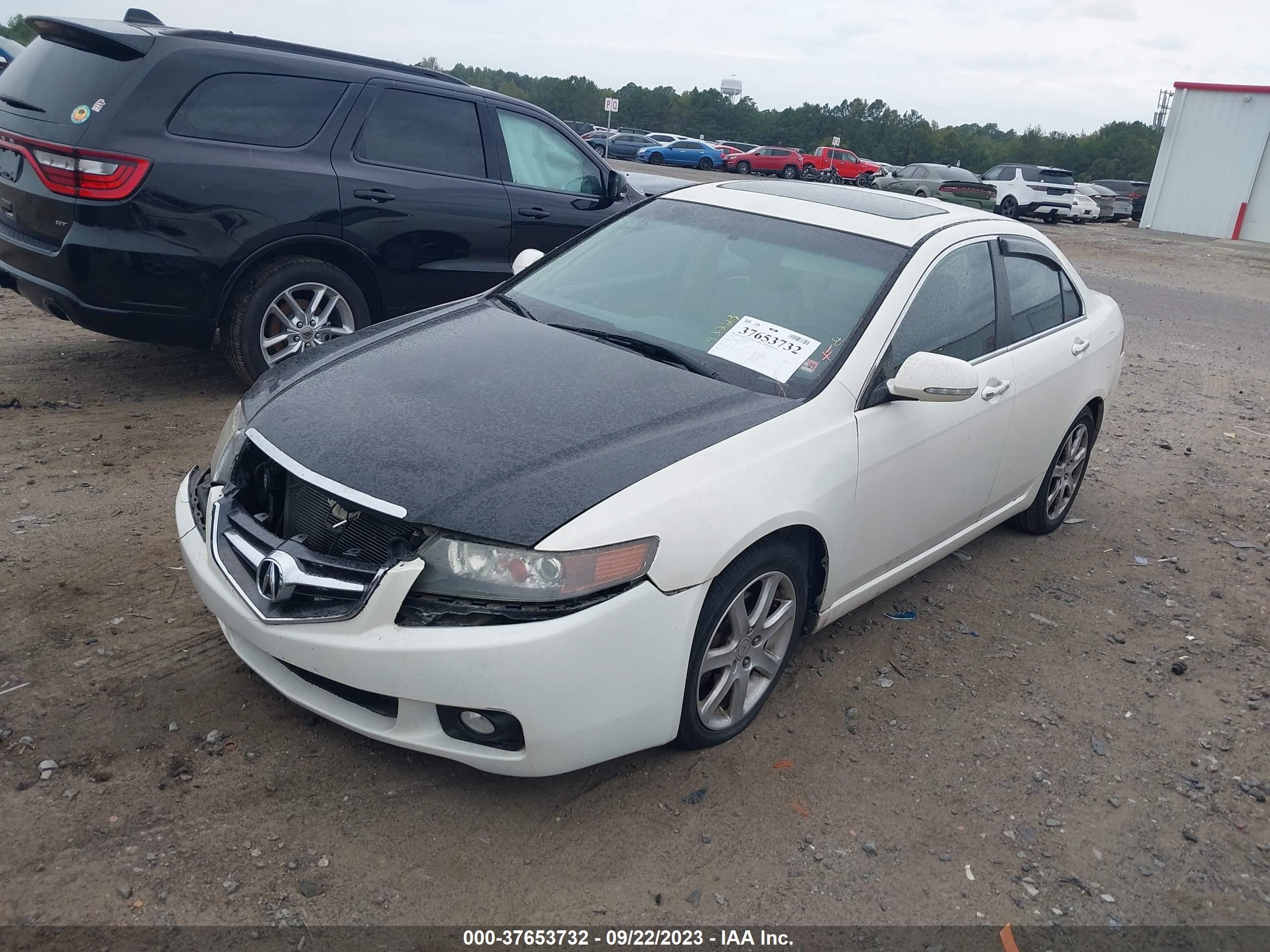 Photo 1 VIN: JH4CL96855C032291 - ACURA TSX 