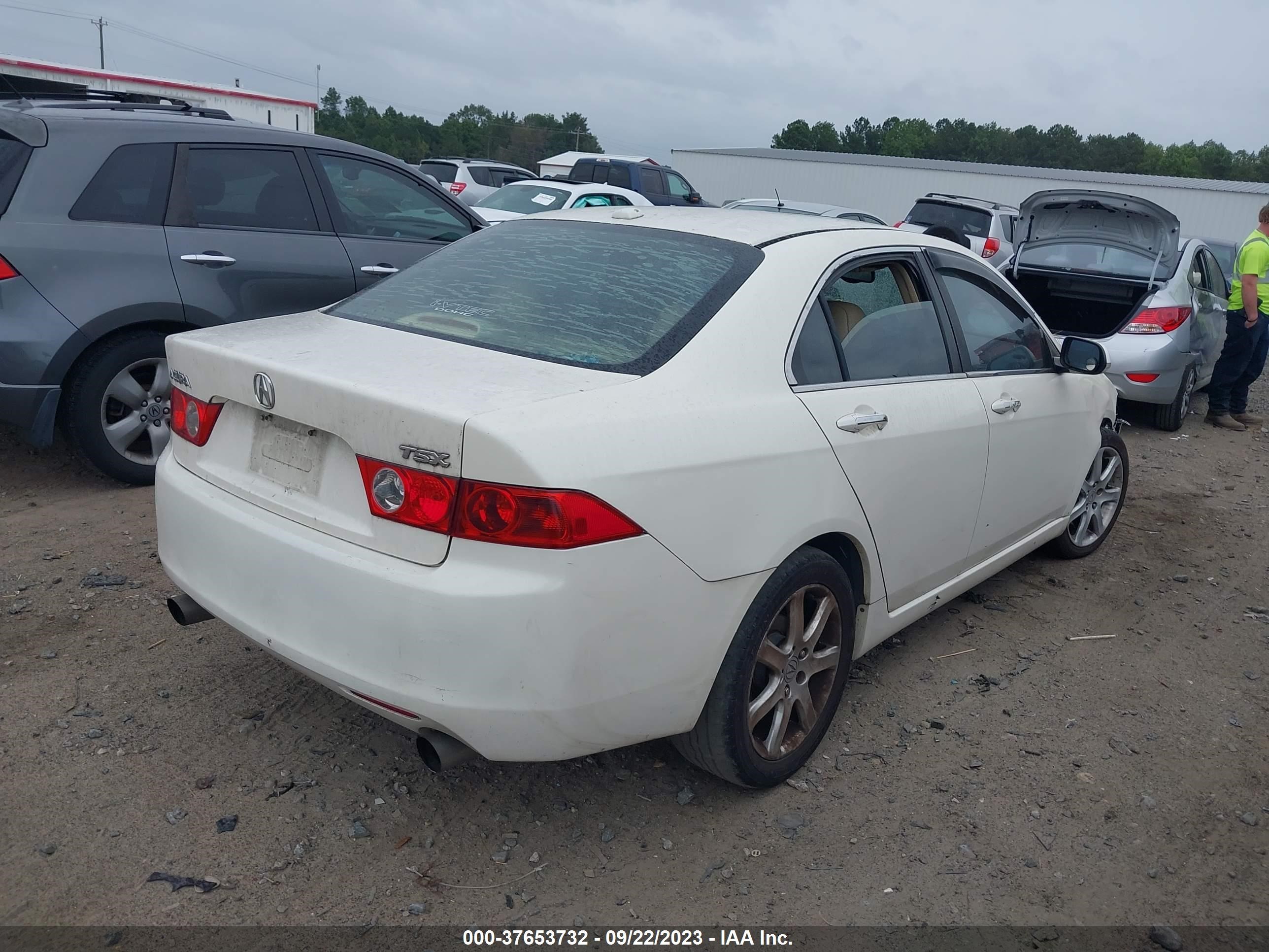 Photo 3 VIN: JH4CL96855C032291 - ACURA TSX 