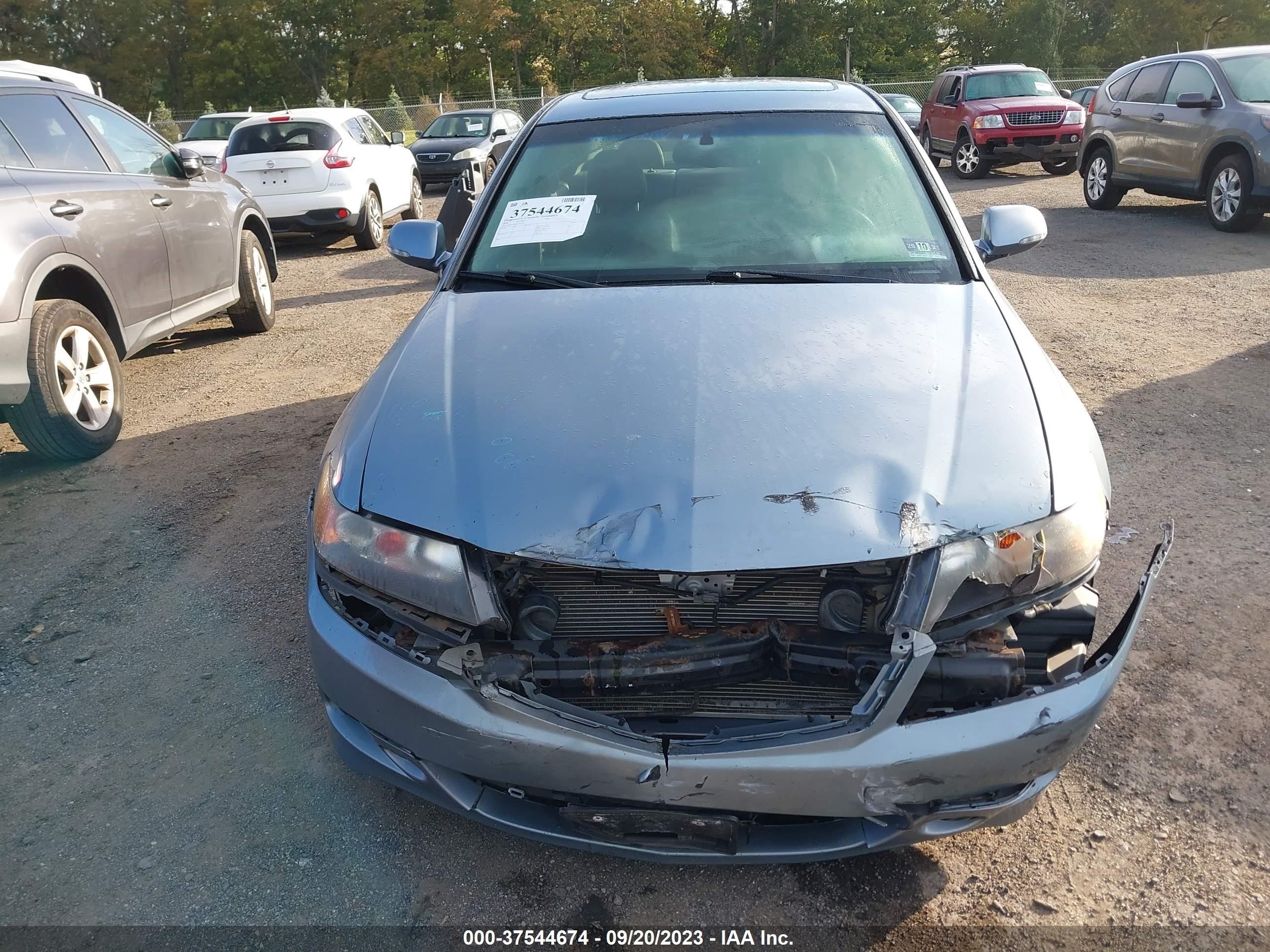 Photo 5 VIN: JH4CL96856C035743 - ACURA TSX 